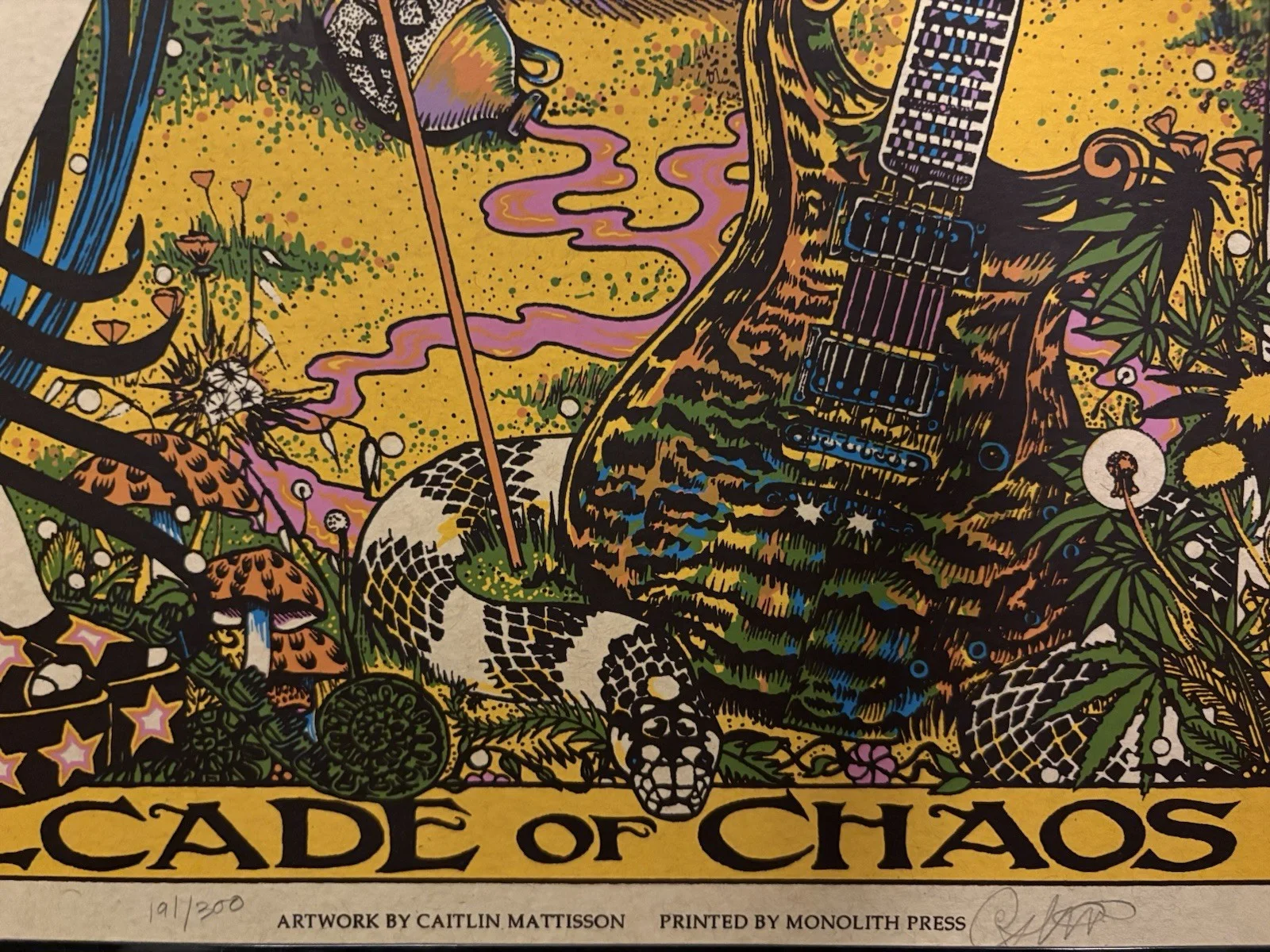 Hard Working Americans 2016 Cavalcade of Chaos Tour poster, изображение 2