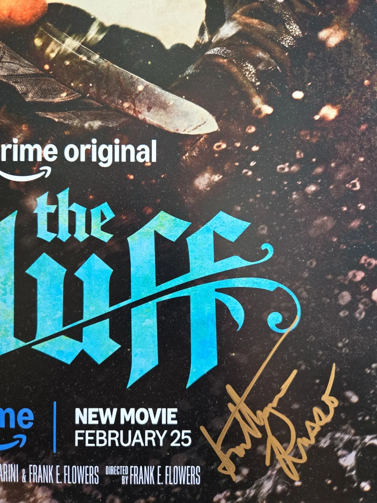 Karl Urban, Priyanka Chopra Jonas, Anthony Russo — The Bluff Poster Signed by Karl Urban, Priyanka Chopra Jonas, Plus More & Shirt, изображение 2
