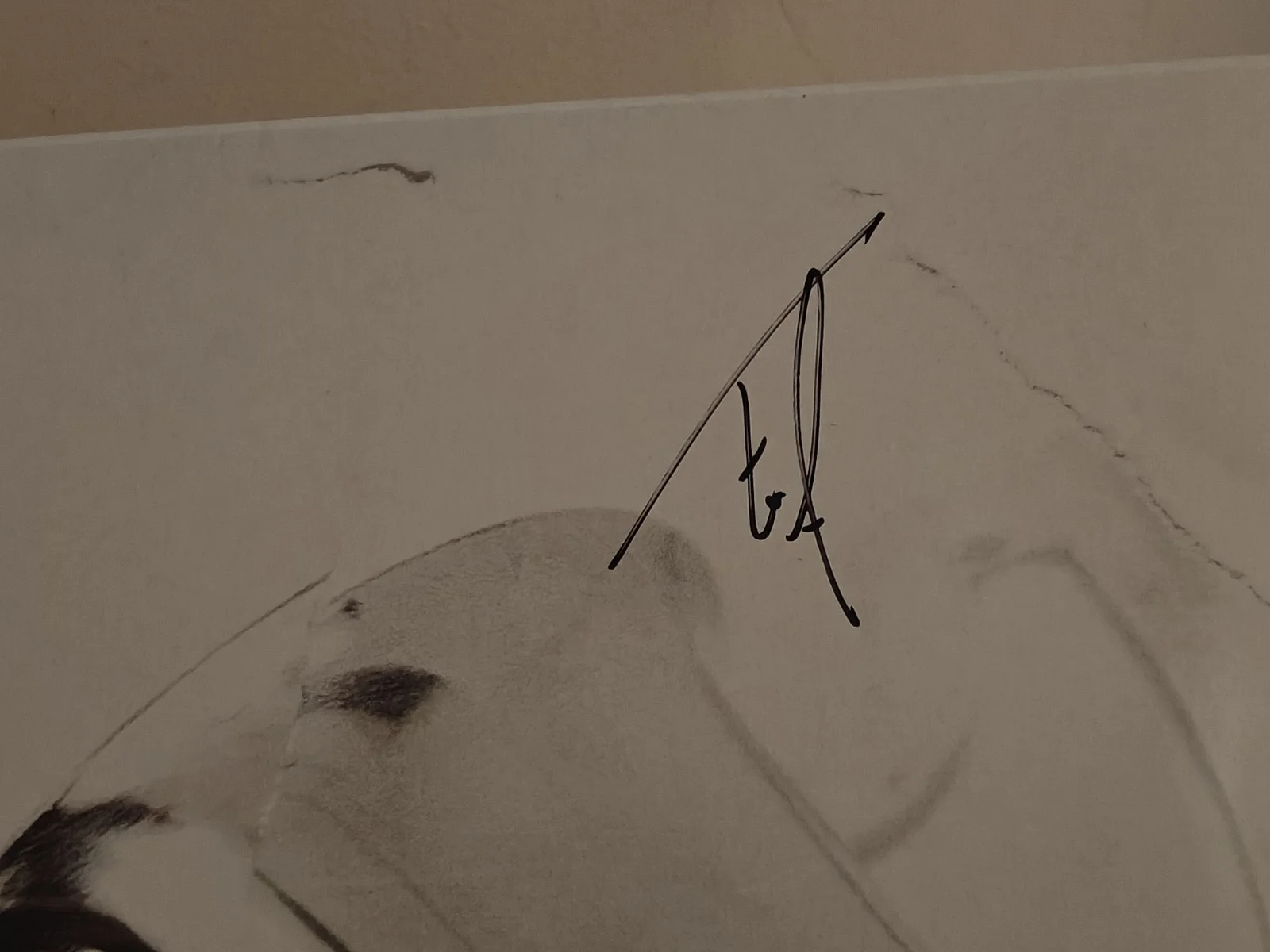 STATE CHAMPS BAND AUTOGRAPHED SIGNED LP VINYL, image 4