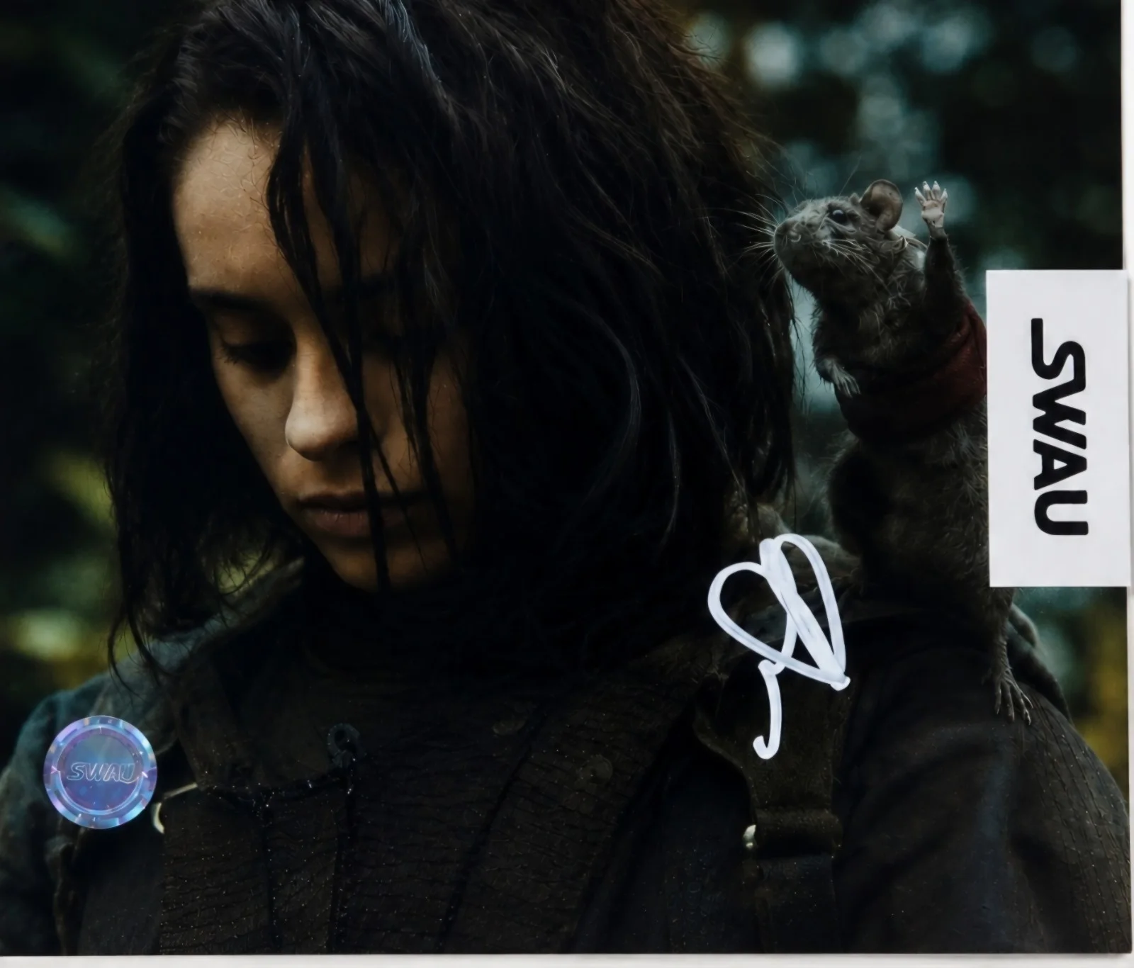 Daniela Melchior — DANIELA MELCHIOR SIGNED SUICIDE SQUAD 8x10 PHOTO SWAU CERTIFICATION