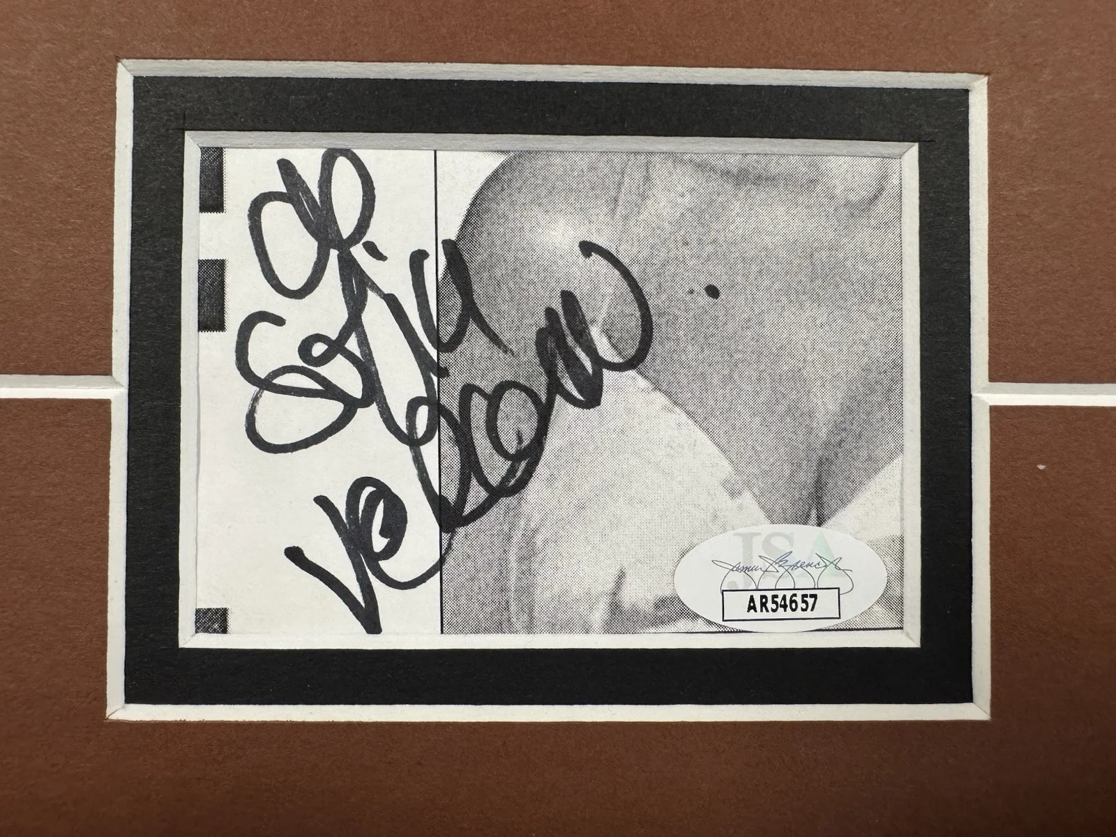 Sofia Vergara Signed Cut Jsa Auto Custom Framed Actress Model, image 2