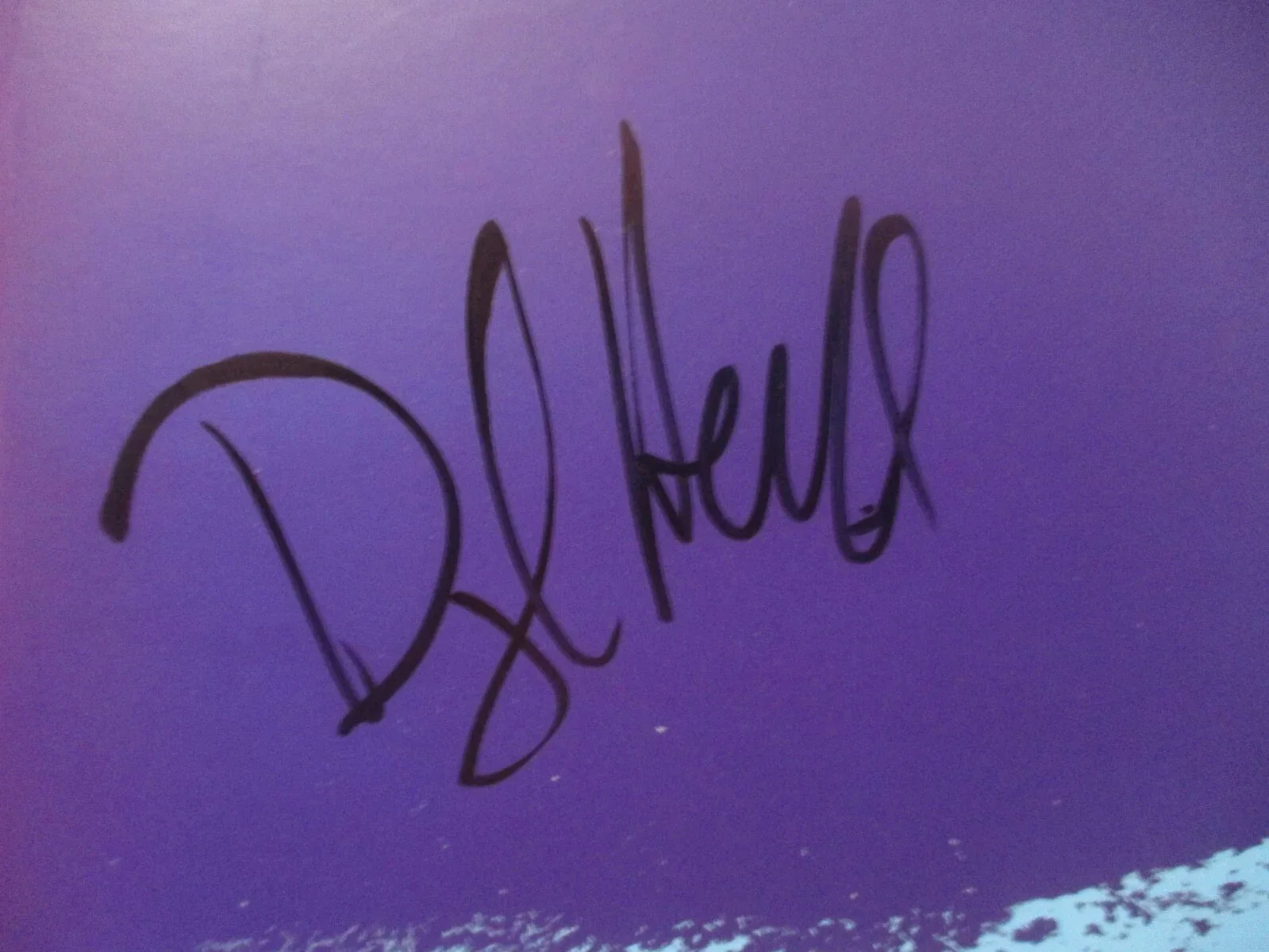 DARYL HALL AUTHENTIC AUTOGRAPHED/SIGNED D ALBUM COVER INSERT--HALL & OATES, image 2