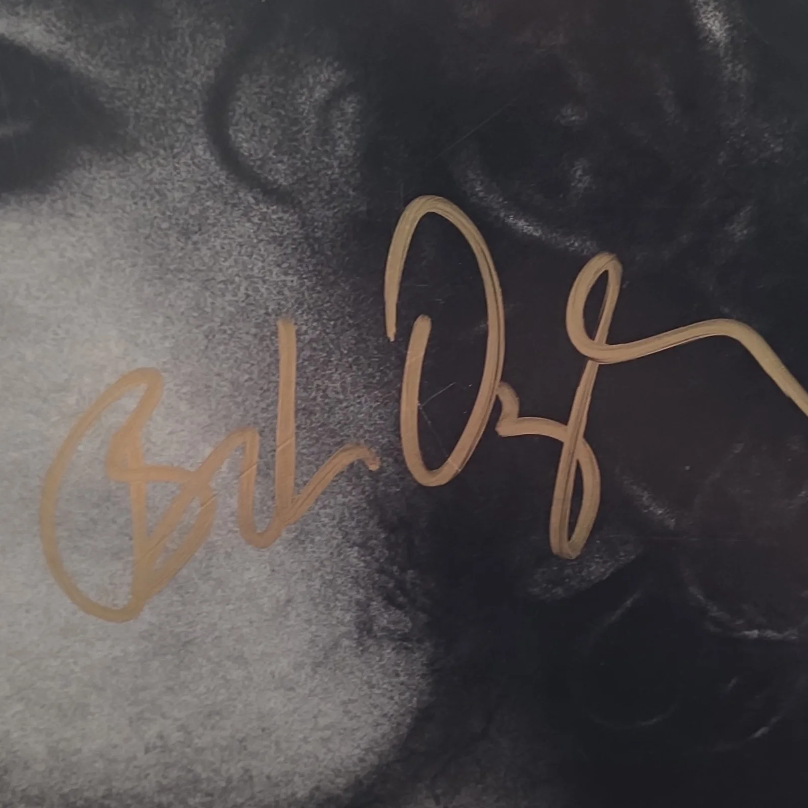 Bob Dylan Hard Rain Autographed Vinyl Record Authentic Autentication Pros, image 2