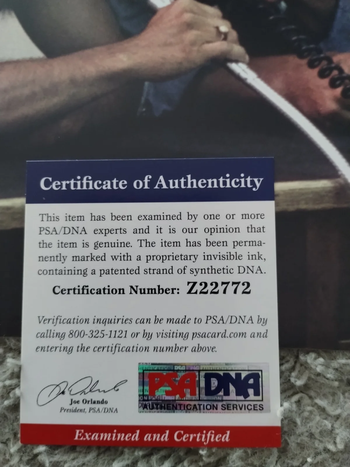Signed 8x10 Autograph Tommy Chong PSA/DNA COA Cheech & Chong Up In Smoke Movie, изображение 2