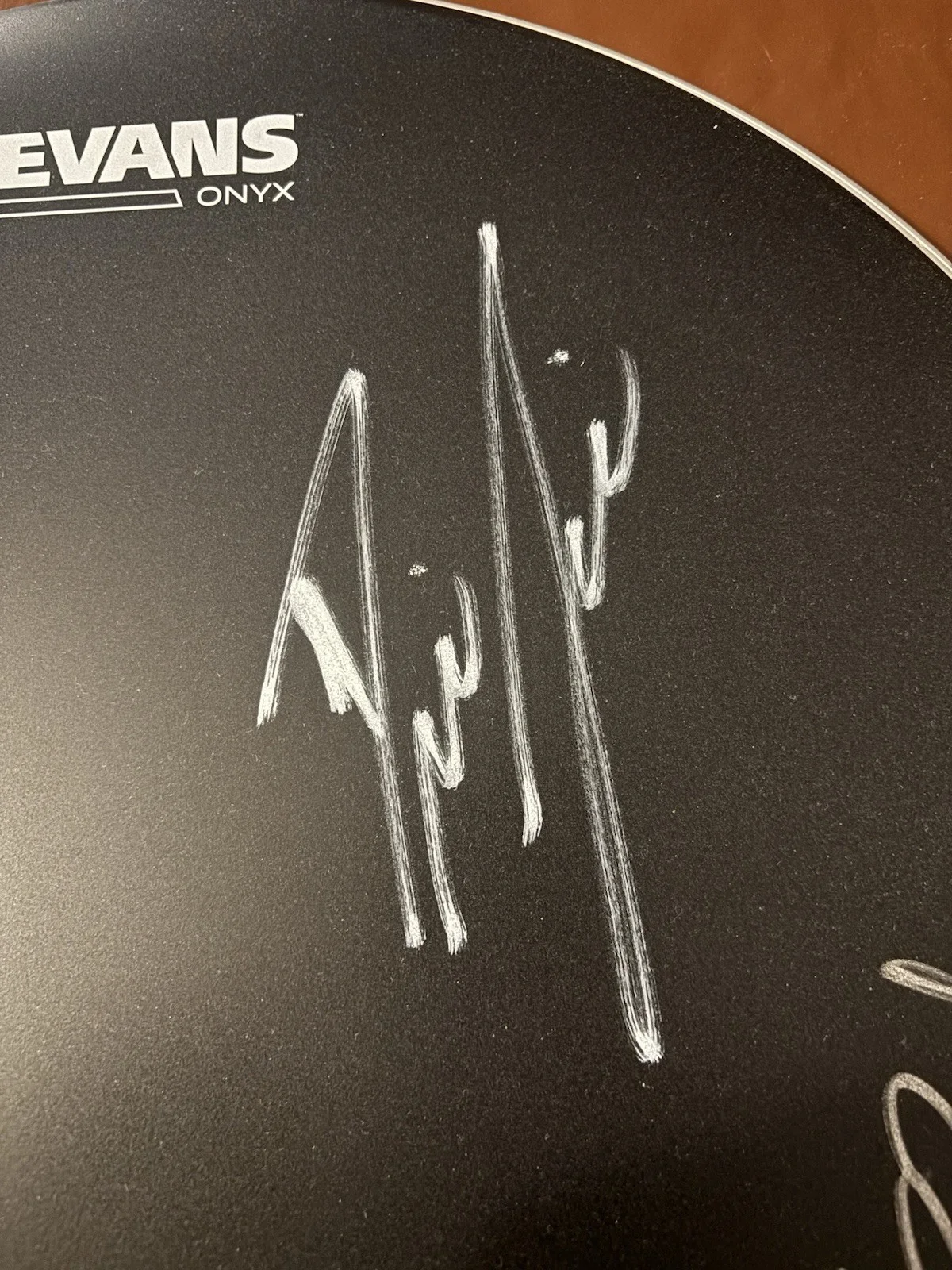 Black Label Society Band Signed 16” Drumhead, image 3