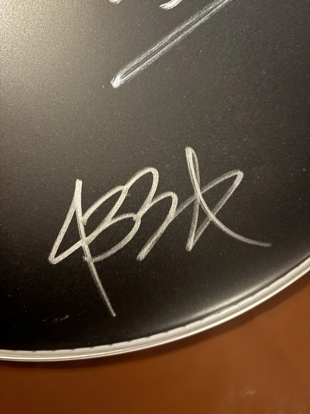 Black Label Society Band Signed 16” Drumhead, image 5