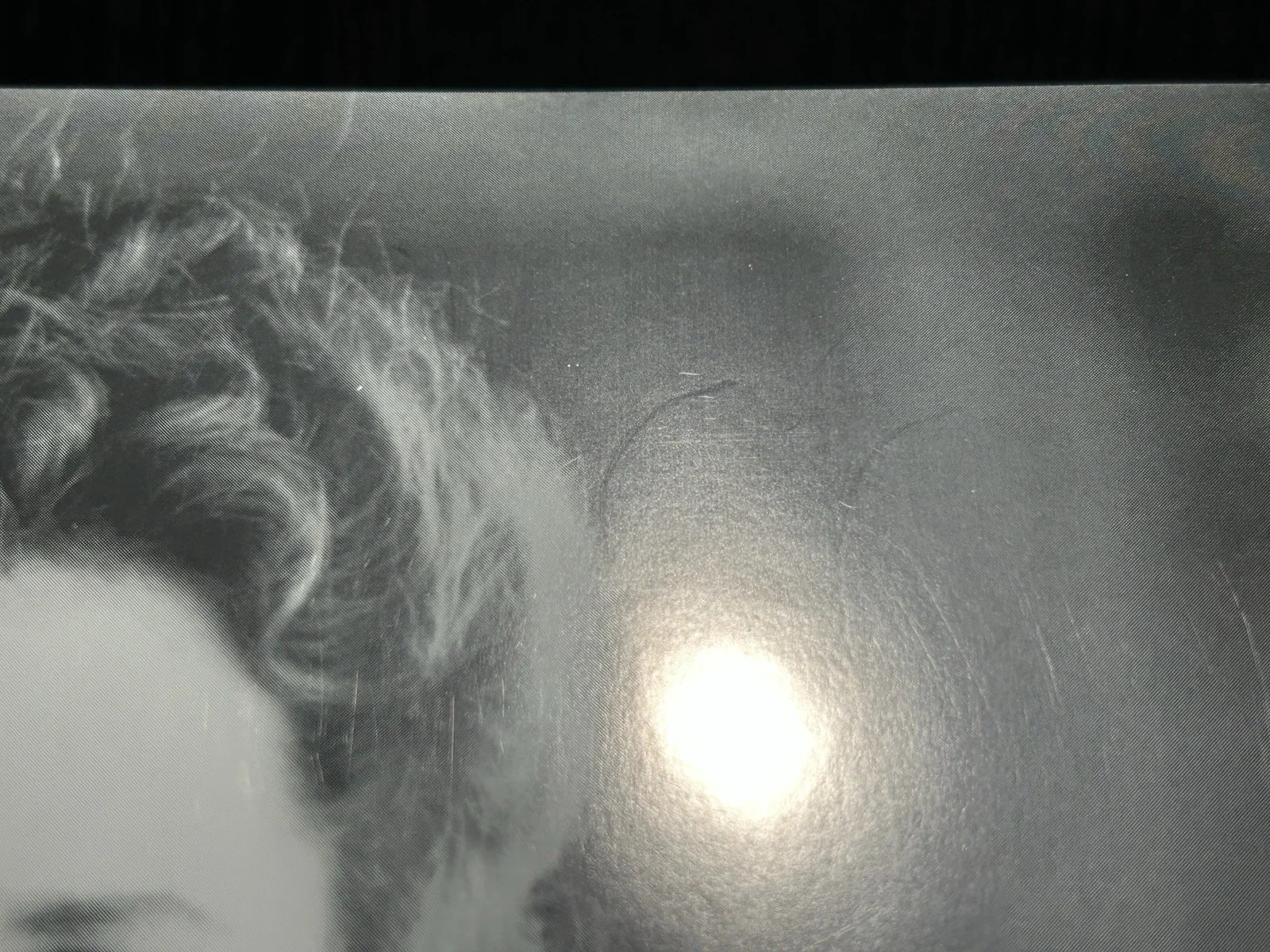 Barbara Babcock — BARBARA BABCOCK SIGNED PHOTO & MAGAZINE PAGE Original Autograph FAR AND AWAY, изображение 5
