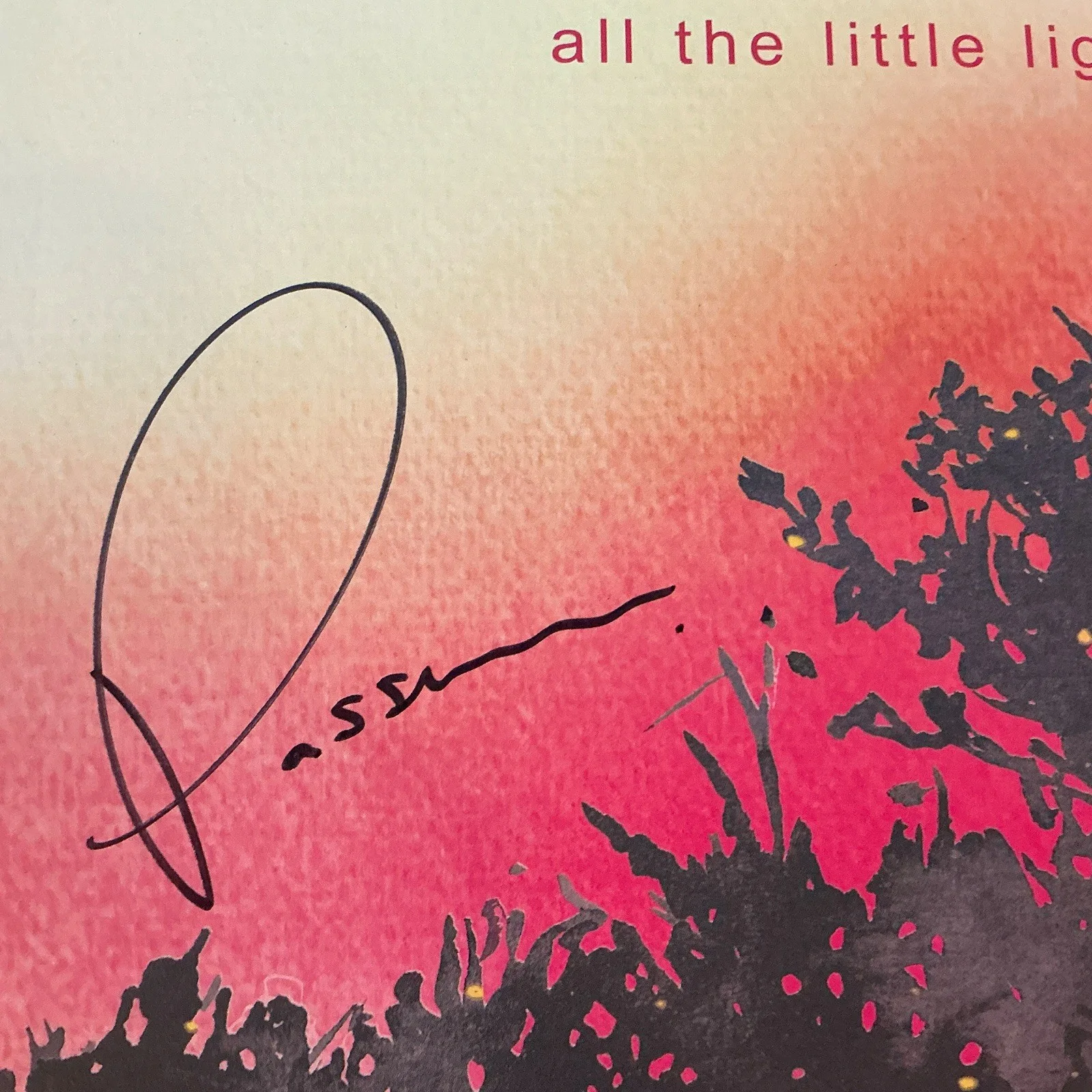 Passenger SIGNED All The Little Lights Anniversary Edition Signed Vinyl Record, изображение 5