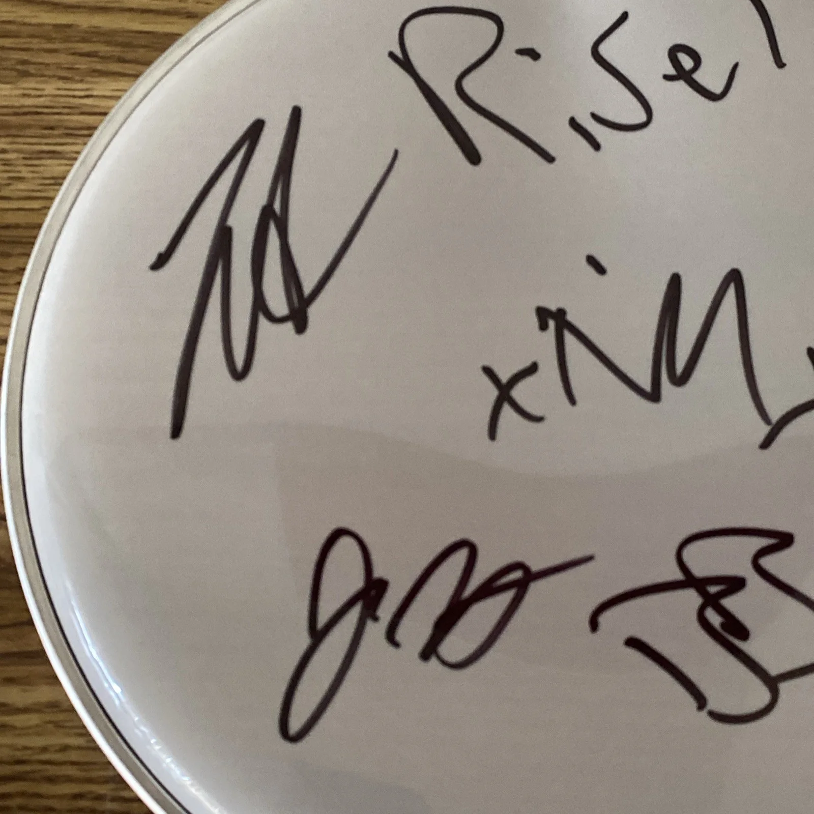 Rise Against Full Band Autographed 10” Drumhead ‘Tim Mcilrath +3’, image 2