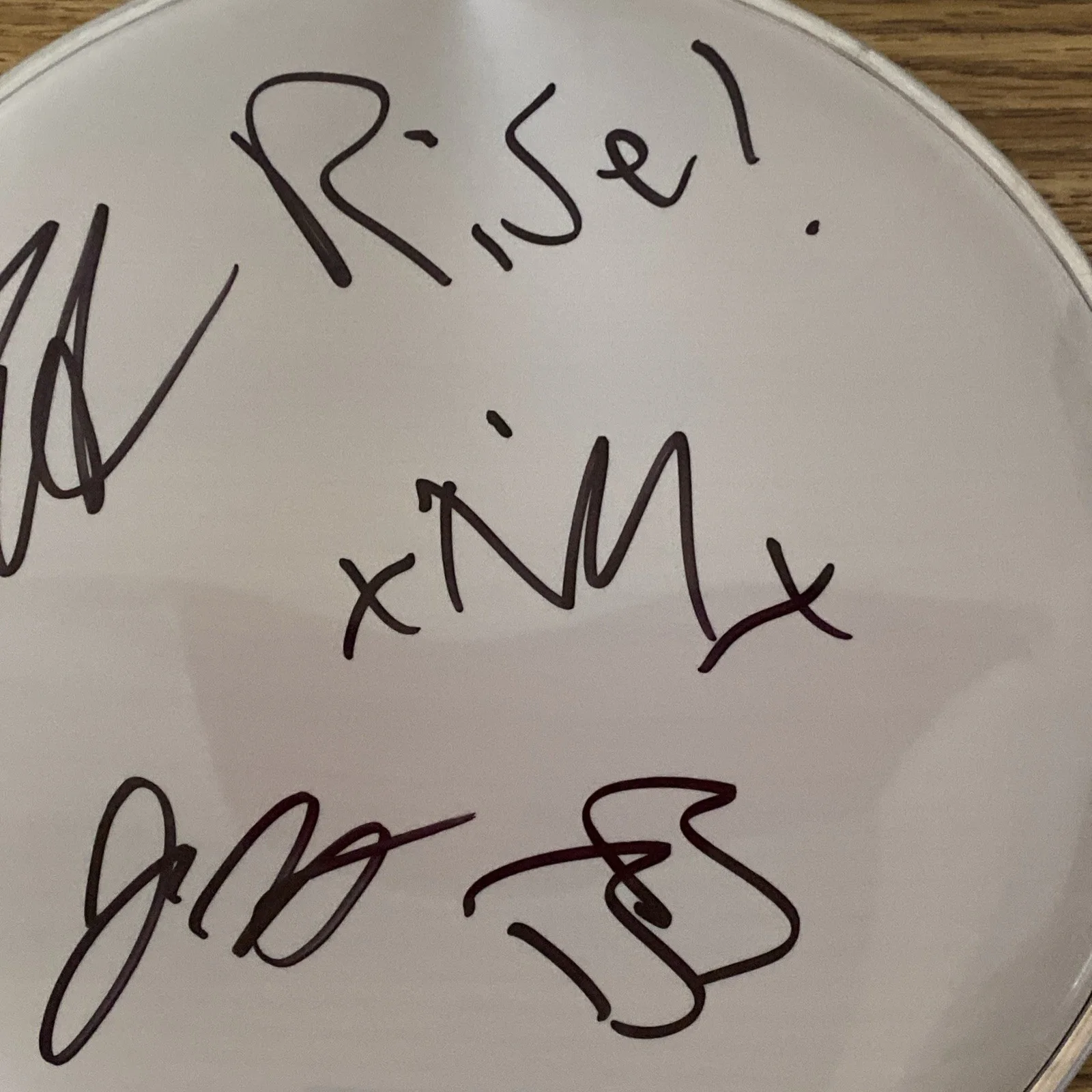 Rise Against Full Band Autographed 10” Drumhead ‘Tim Mcilrath +3’, image 3