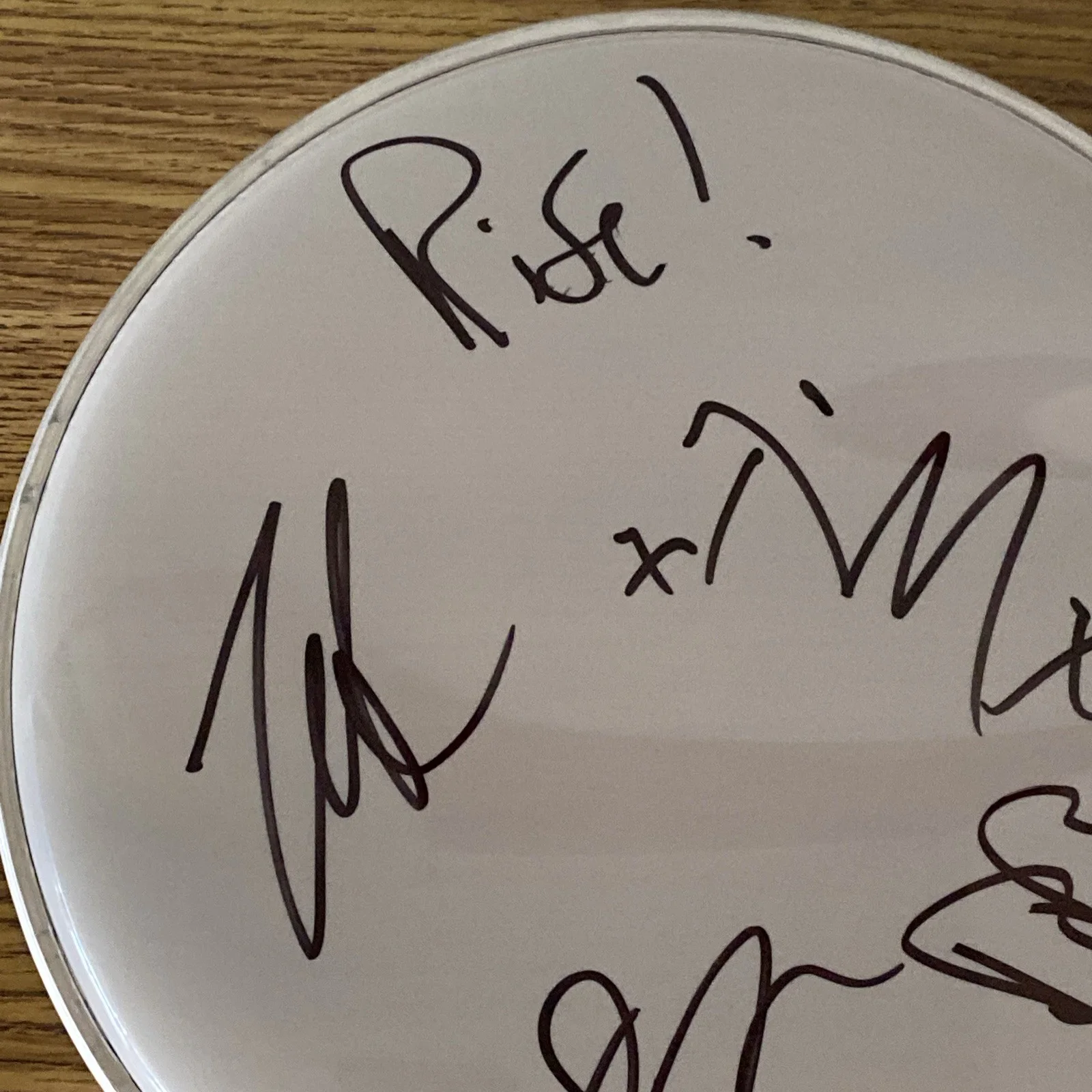 Rise Against Full Band Autographed 10” Drumhead ‘Tim Mcilrath +3’, image 2
