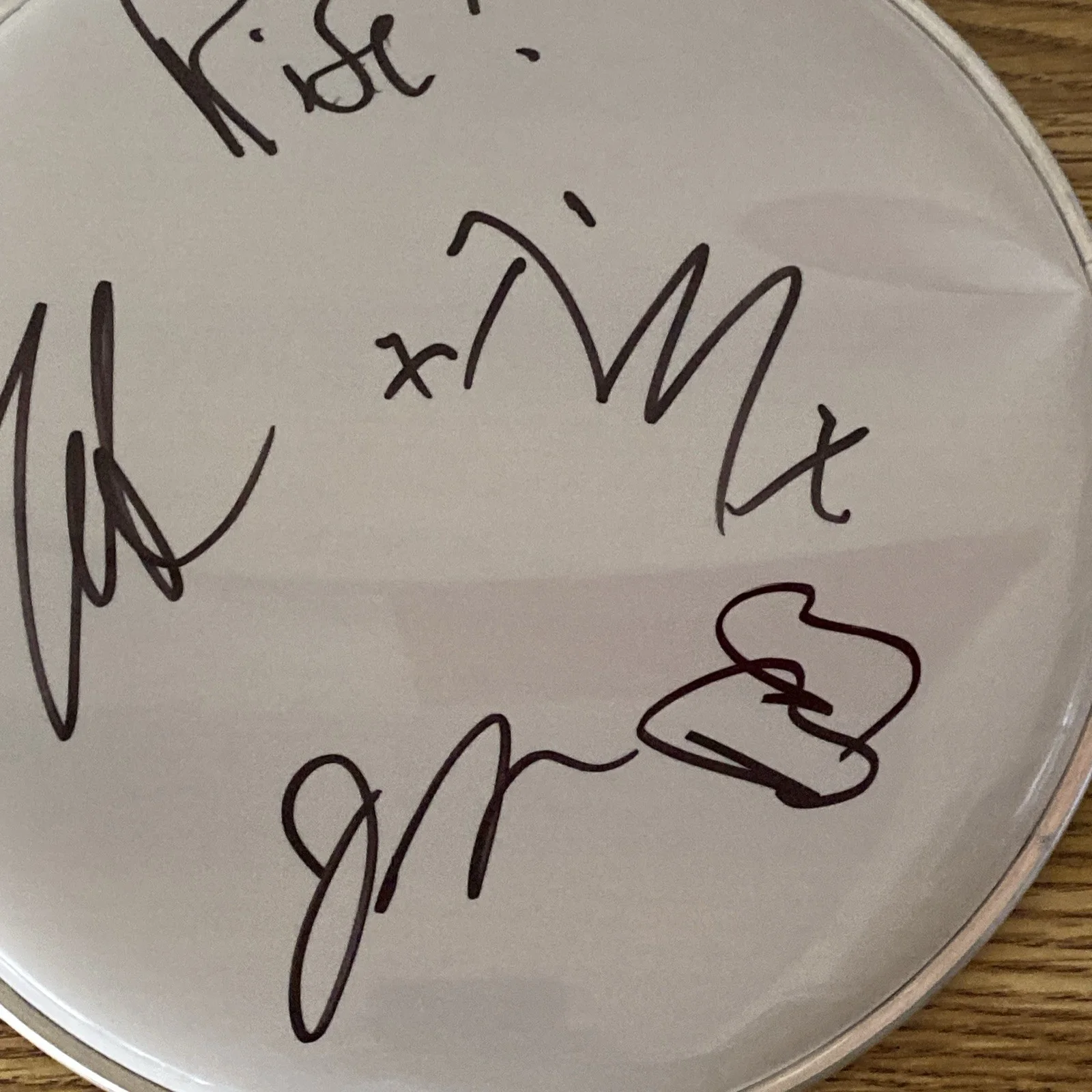 Rise Against Full Band Autographed 10” Drumhead ‘Tim Mcilrath +3’, image 3