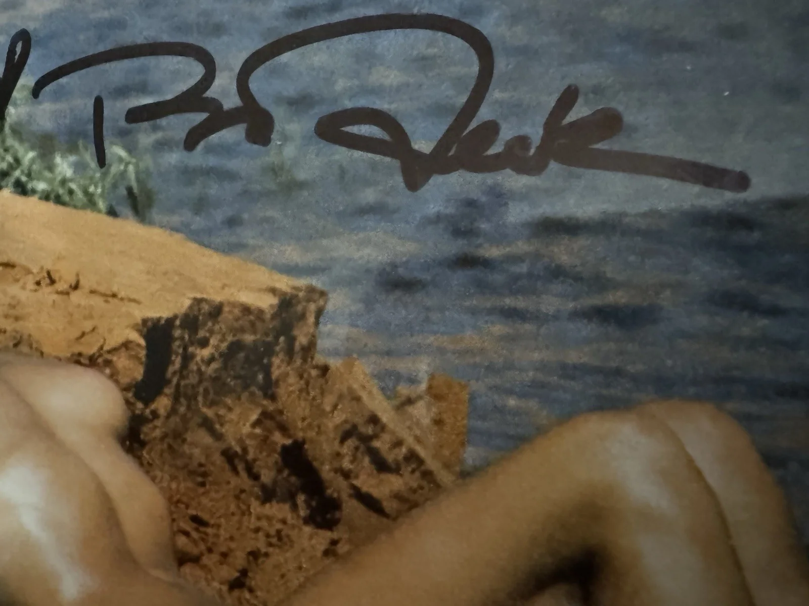 Bo Derek Signed Photo 4x6 Autographed Photograph, изображение 2