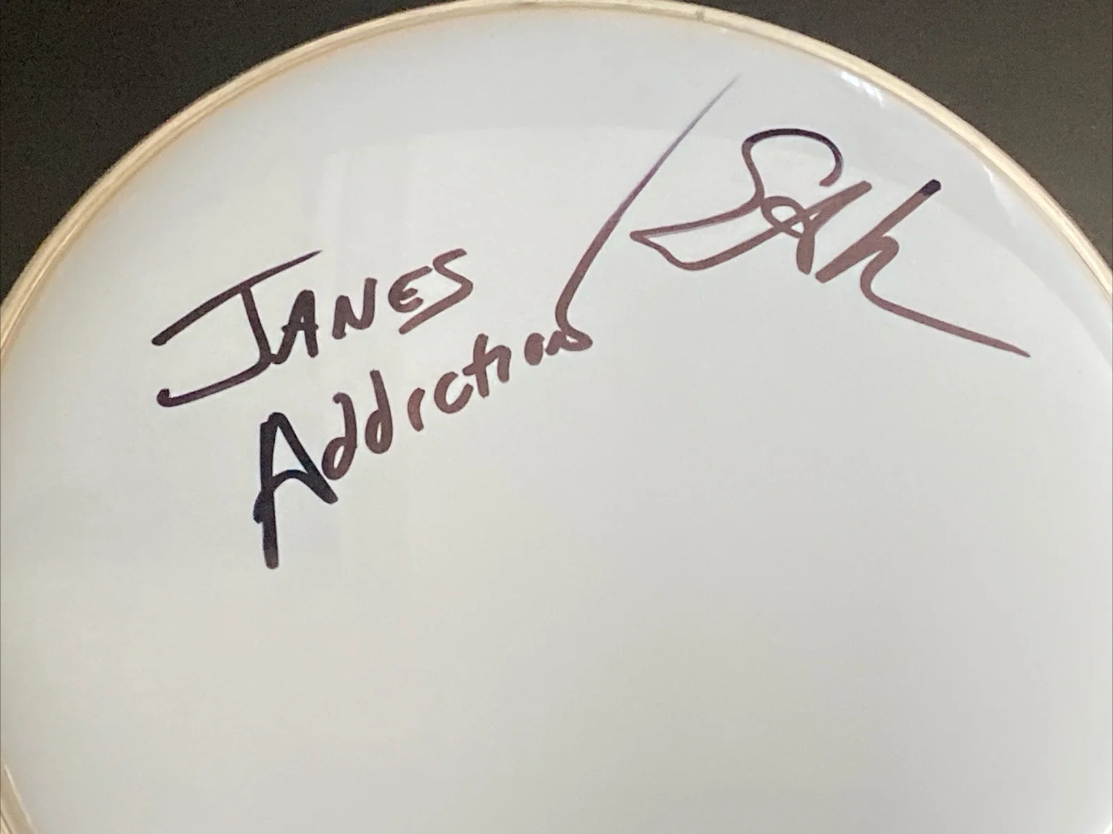 Stephen Perkins Autographed Drumhead Drum Head Jane's Addiction Inscription, image 2
