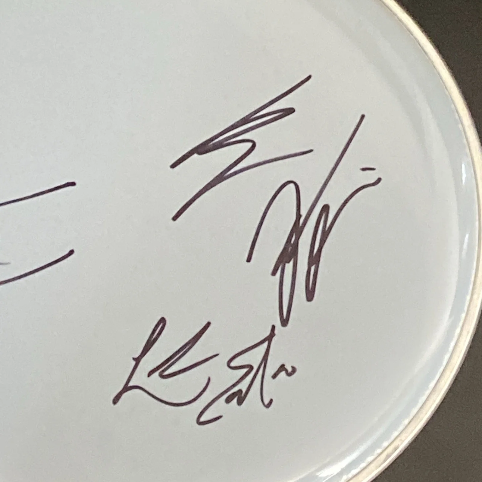 The Beaches Band Full Autographed Drumhead 10” Jordan Miller +3, image 3