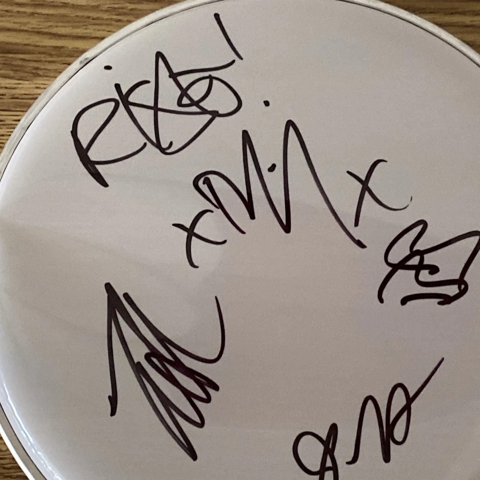 Rise Against Full Band Autographed 10” Drumhead ‘Tim Mcilrath +3’, image 2