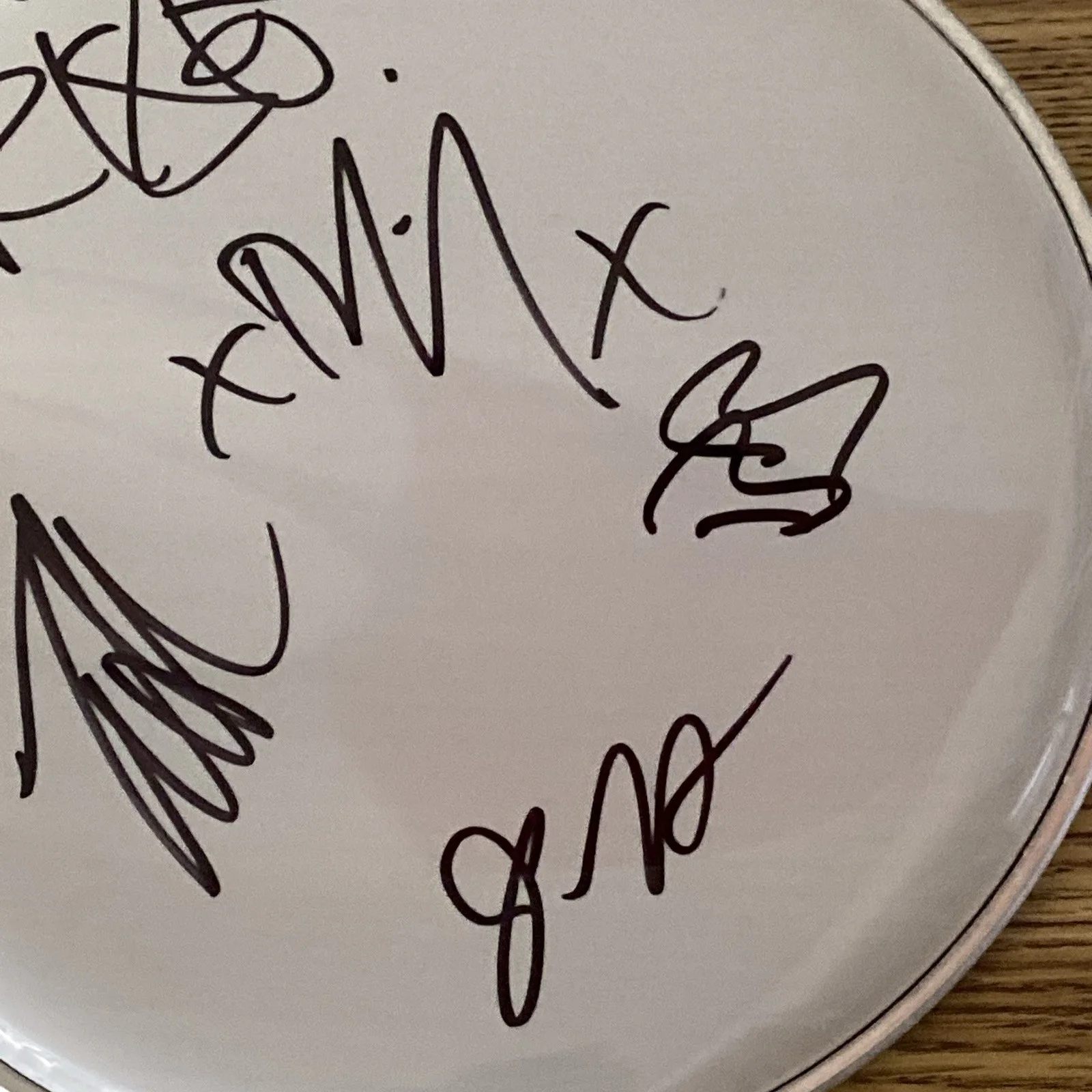 Rise Against Full Band Autographed 10” Drumhead ‘Tim Mcilrath +3’, image 3