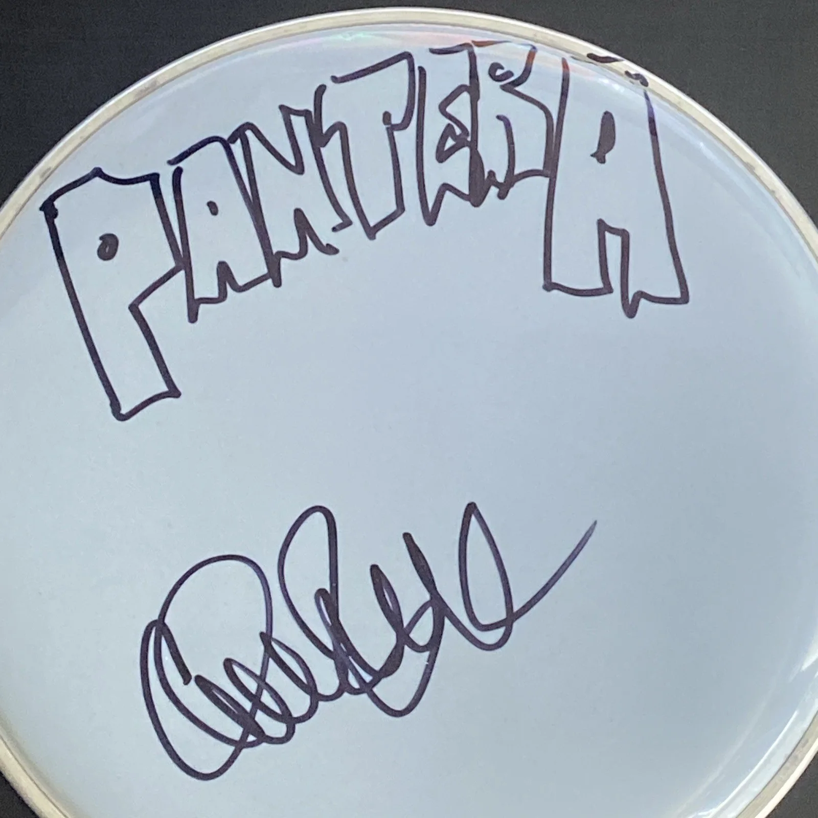 Charlie Benante Autographed Drumhead 10" Drummer Pantera Sketch & Inscription, изображение 2