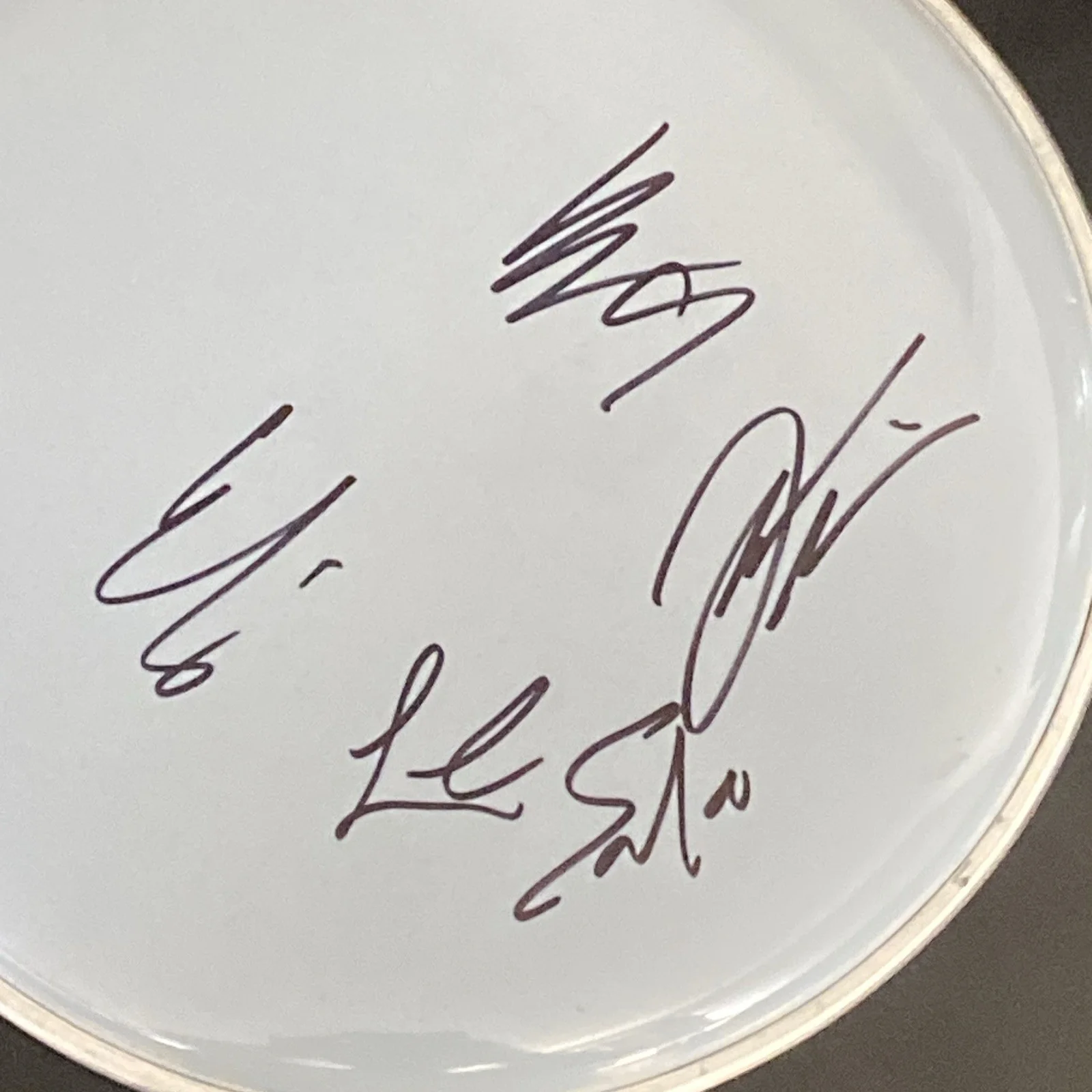 The Beaches Band Full Autographed Drumhead 10” Jordan Miller +3, image 2