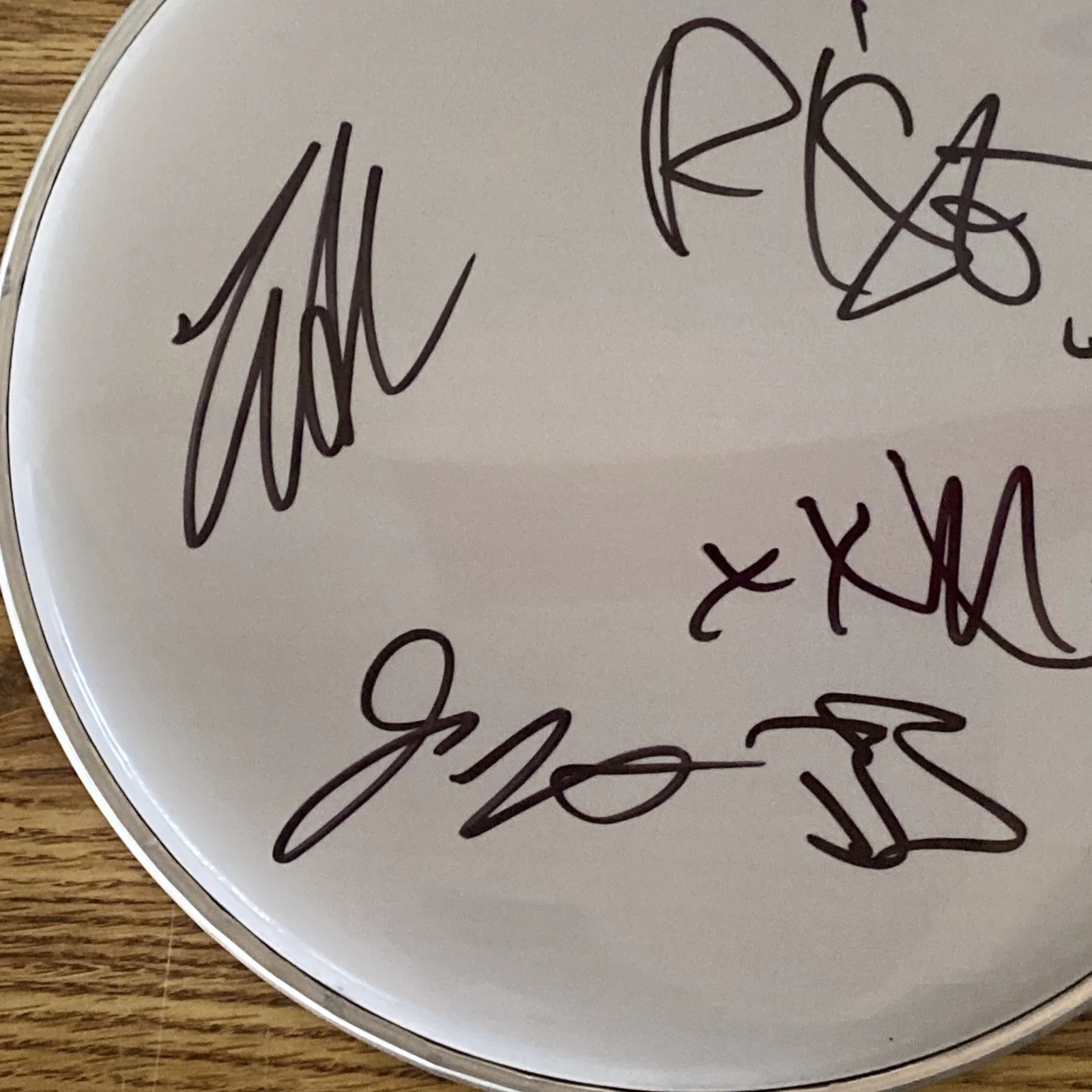 Rise Against Full Band Autographed 10” Drumhead ‘Tim Mcilrath +3’, image 2