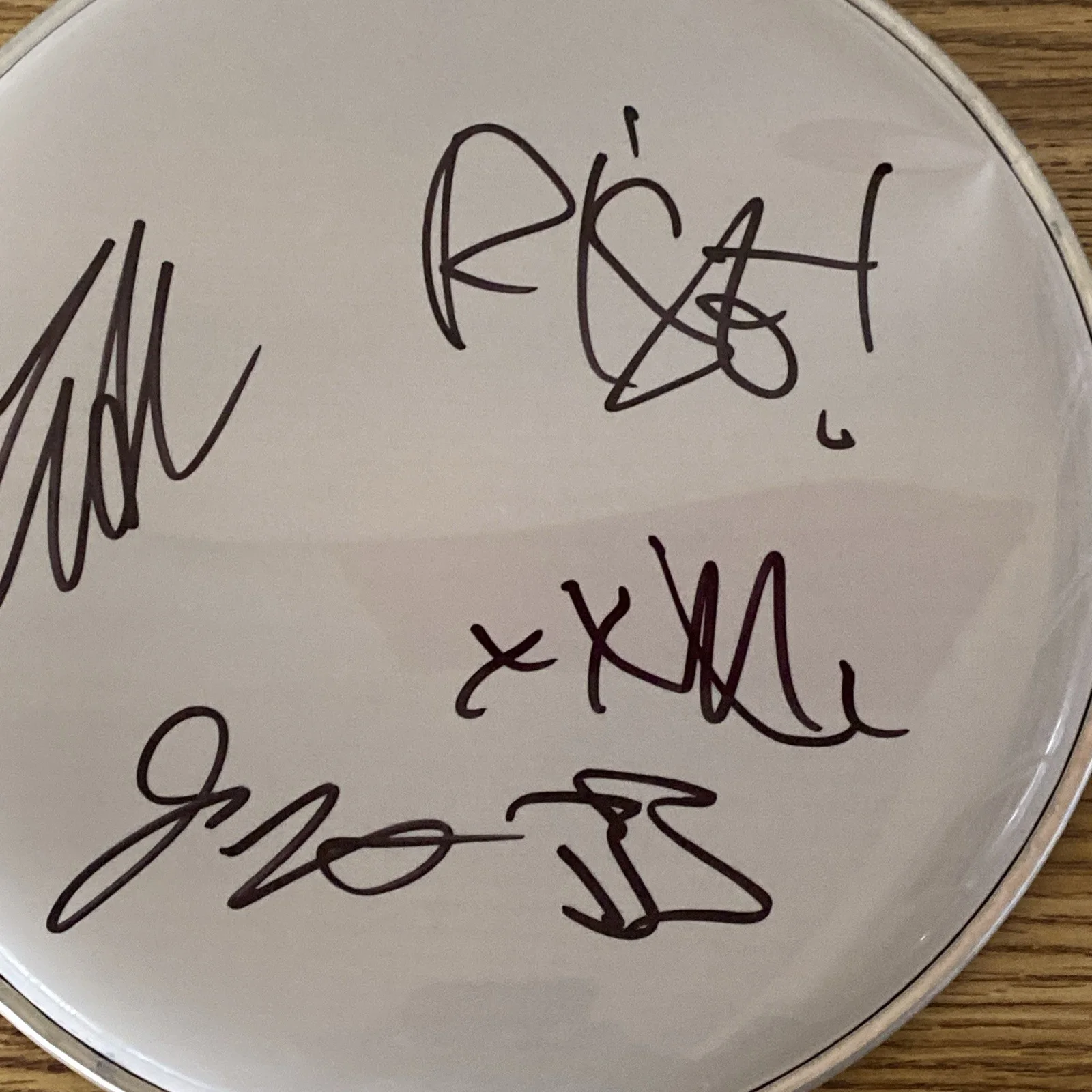 Rise Against Full Band Autographed 10” Drumhead ‘Tim Mcilrath +3’, image 3