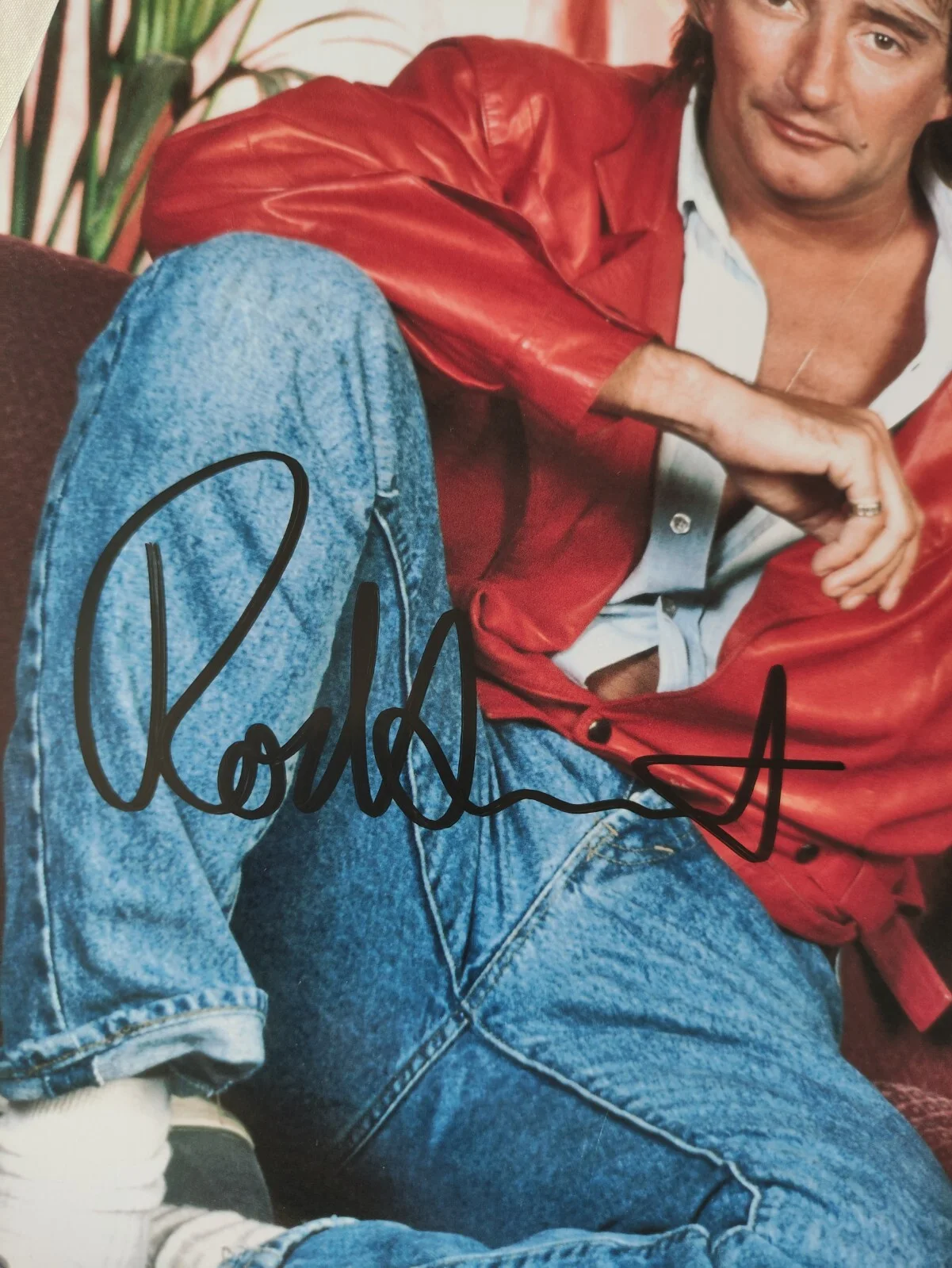 ROD STEWART Signed Autographed Photo 8x10, image 2