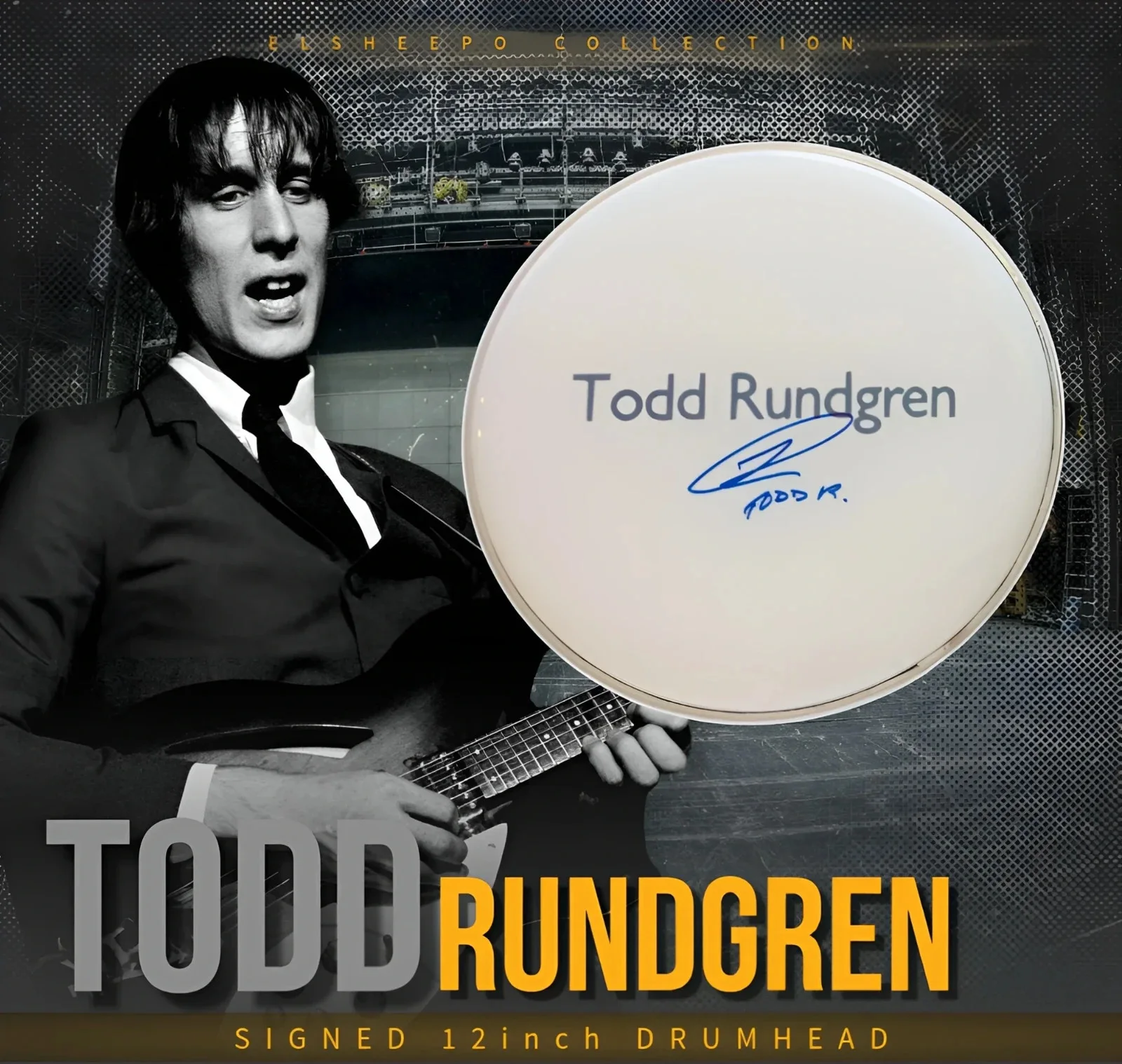TODD RUNDGREN SIGNED 12inch DRUMHEAD & JSA CERTIFIED COA, image 2