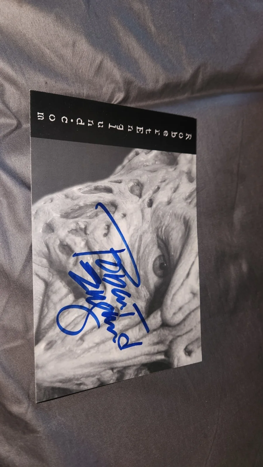 Robert Englund — Robert Englund Autographed Photo 6x4, image 2