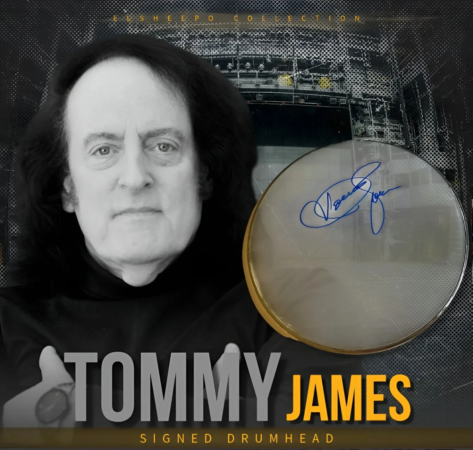 TOMMY JAMES (THE SHONDELLS) SIGNED 12inch DRUMHEAD & JSA CERTIFIED COA, изображение 2