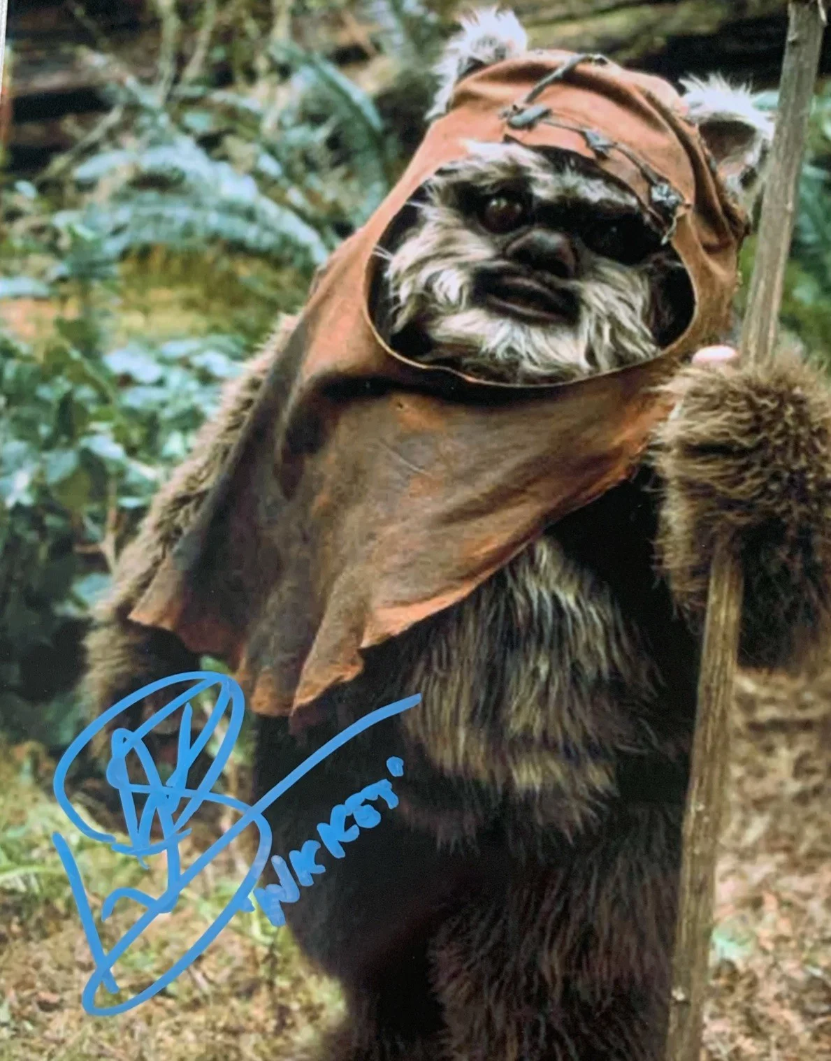 Warwick Davis — Star Wars Return Of The Jedi Warwick Davis Signed Autographed 8x10 Photo *SALE*, изображение 2