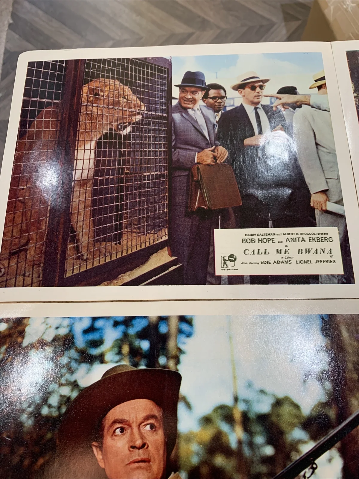 CALL ME BWAN UK 10 x 8 LOBBY CARD 1963 Bob Hope Anita Ekberg RANK Jungle, изображение 5