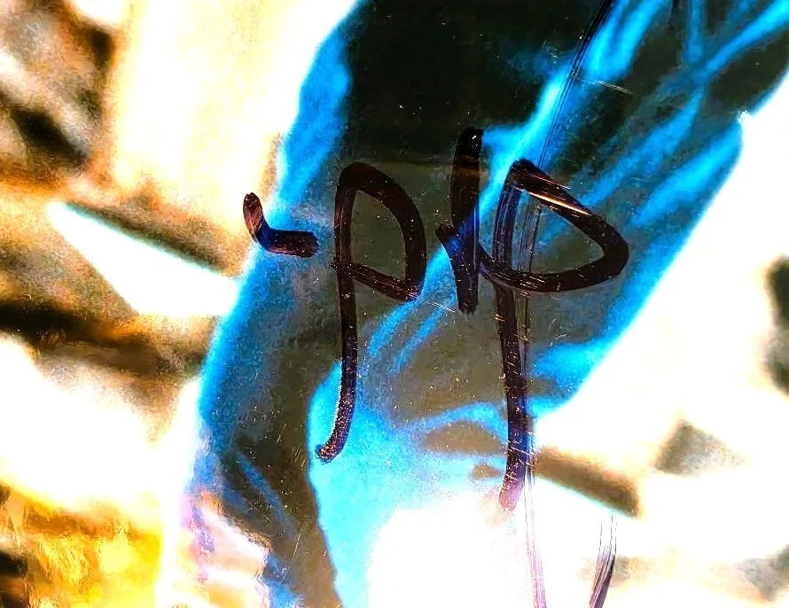 Harrison Ford Signed 8x10 INDIANA JONES Han Solo with COA, изображение 2