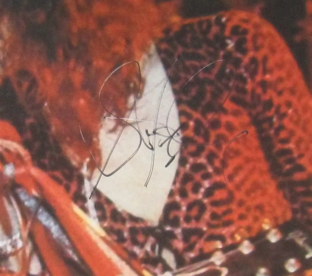 AEROSMITH SIGNED POSTER STEVEN TYLER JOE PERRY ROCK AUTOGRAPH BECKETT LOA X2, image 4