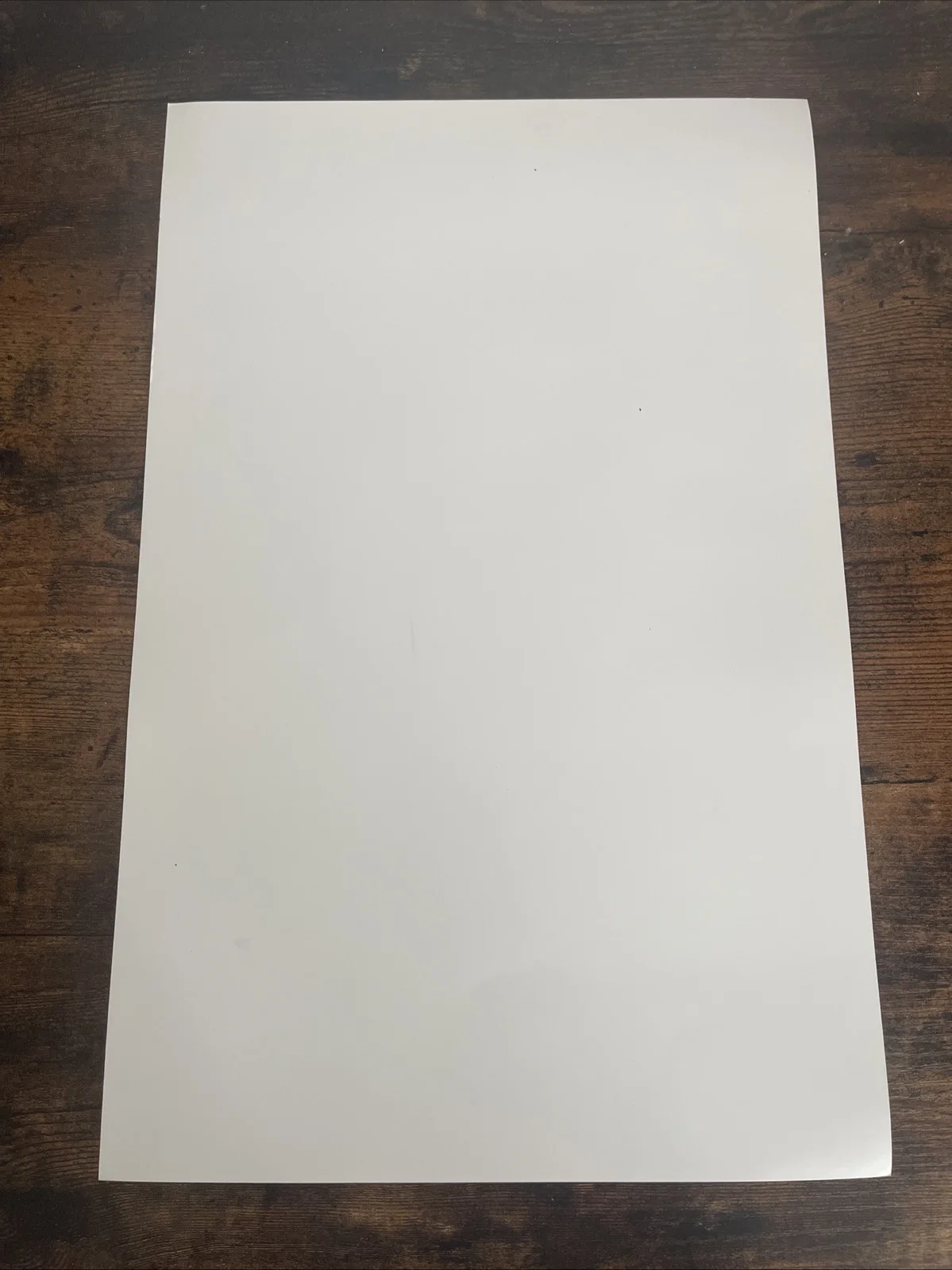 Jordan Peterson Beyond Order: 12 More Rules for Life Tour Signed Poster, image 3