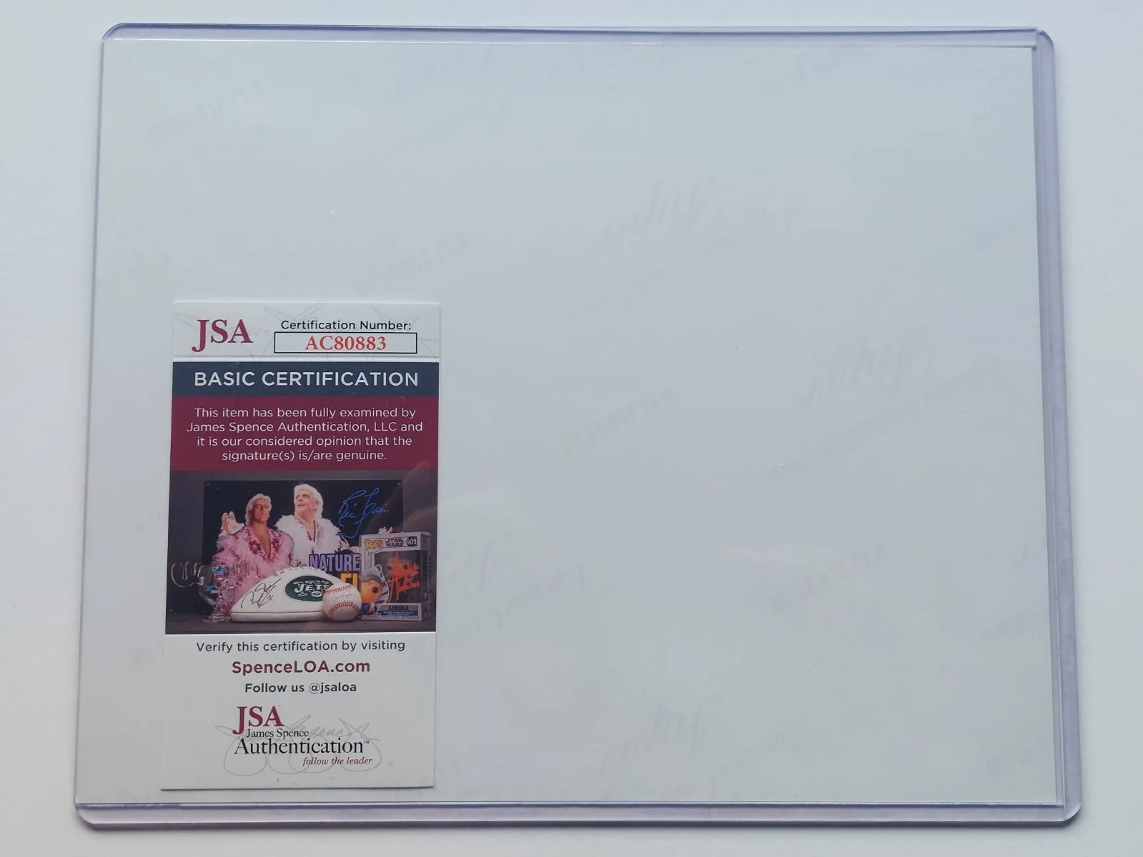 Billy West — Billy West signed 8x10 Photo DOUG FUNNIE Voice Nickelodeon JSA Authentication, image 5
