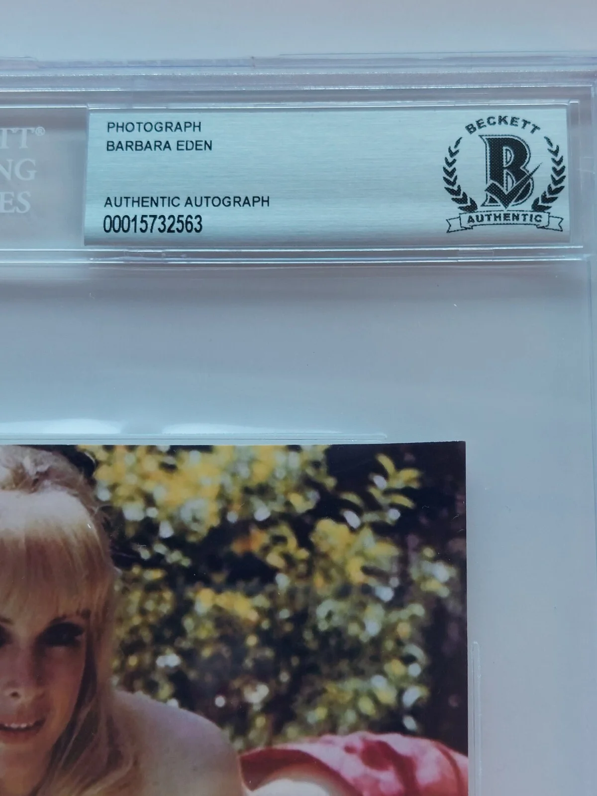Barbara Eden — Barbara Eden Signed Photo Beckett COA I Dream Of Jeannie AUTO AUTOGRAPH, изображение 3