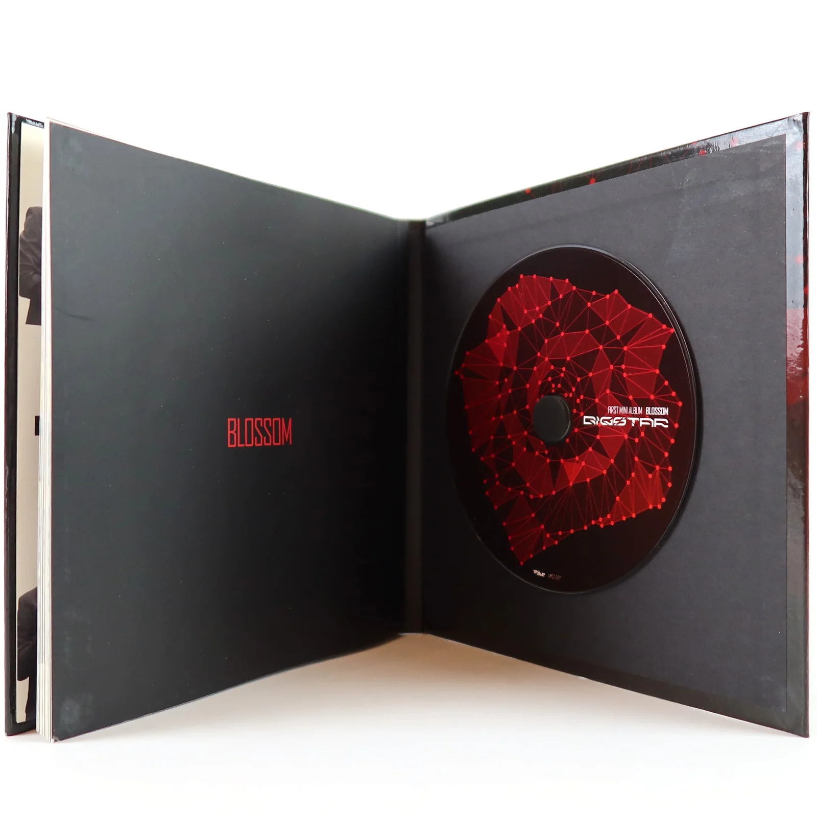 Bigstar - Blossom 1st Mini Album Signed Promo CD 2012, изображение 3