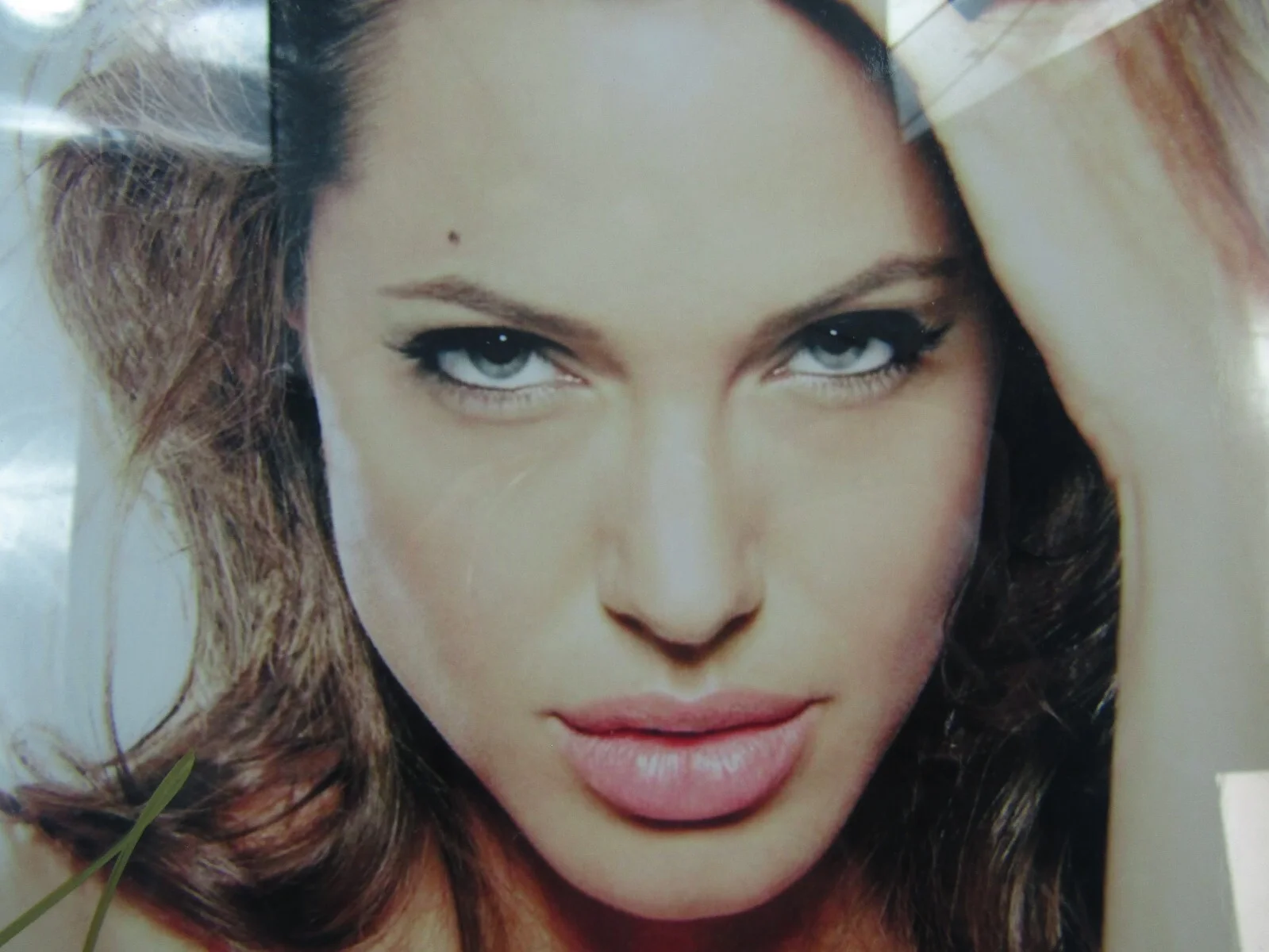 Angelina Jolie Autographed Framed Photo Sasha Celebrity Photographs COA, изображение 2