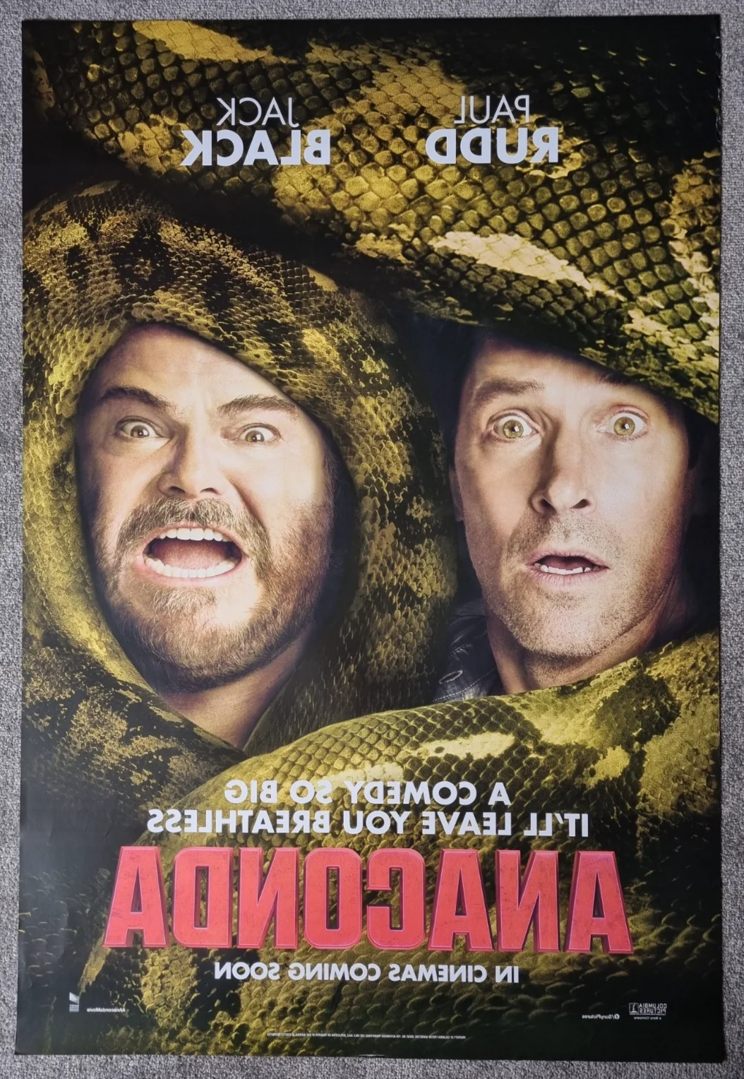 Anaconda - Original One Sheet Double Sided Cinema Poster Jack Black Ref P81 b, image 2