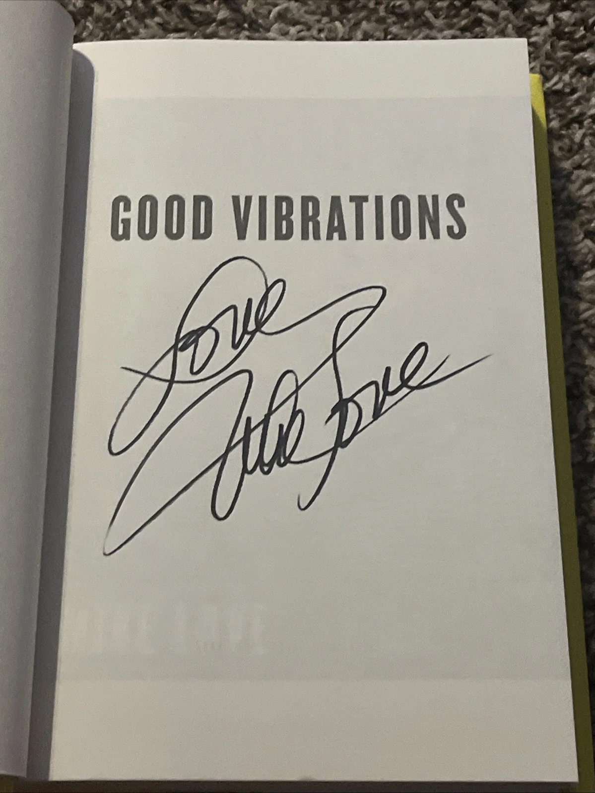 Mike Love *SIGNED* Good Vibrations Book The Beach Boys, image 2