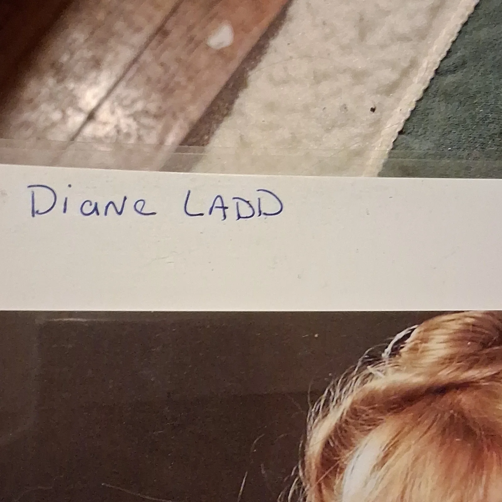 Diane Ladd — Diane Ladd Signed Photo Autographed Television Original Not Authenticated, image 3
