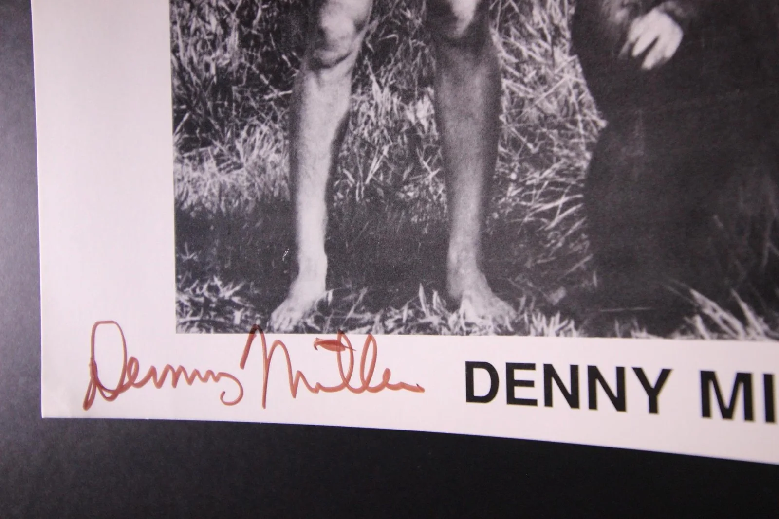 Denny Miller — DENNY MILLER (1934-2014) (TARZAN~WAGON TRAIN) AUTOGRAPH PHOTO~, изображение 2