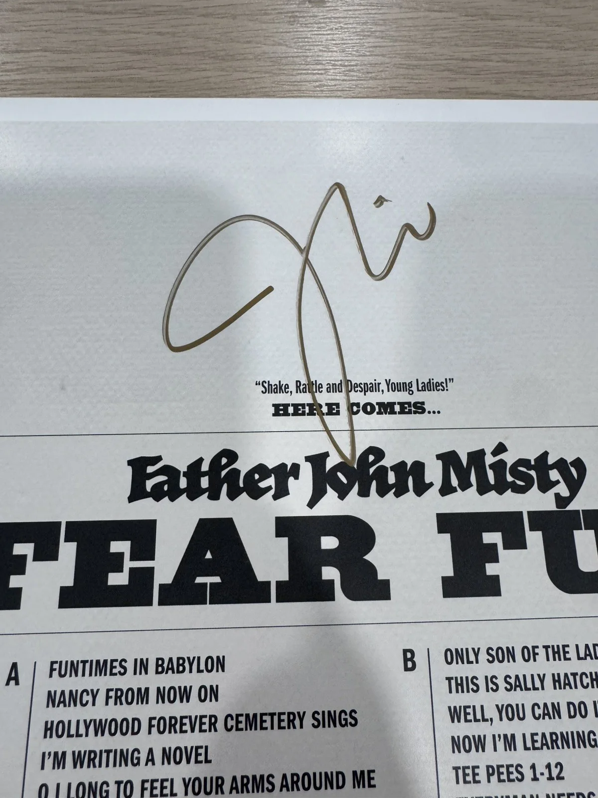 FATHER JOHN MISTY SIGNED Fear Fun VINYL LP, image 3