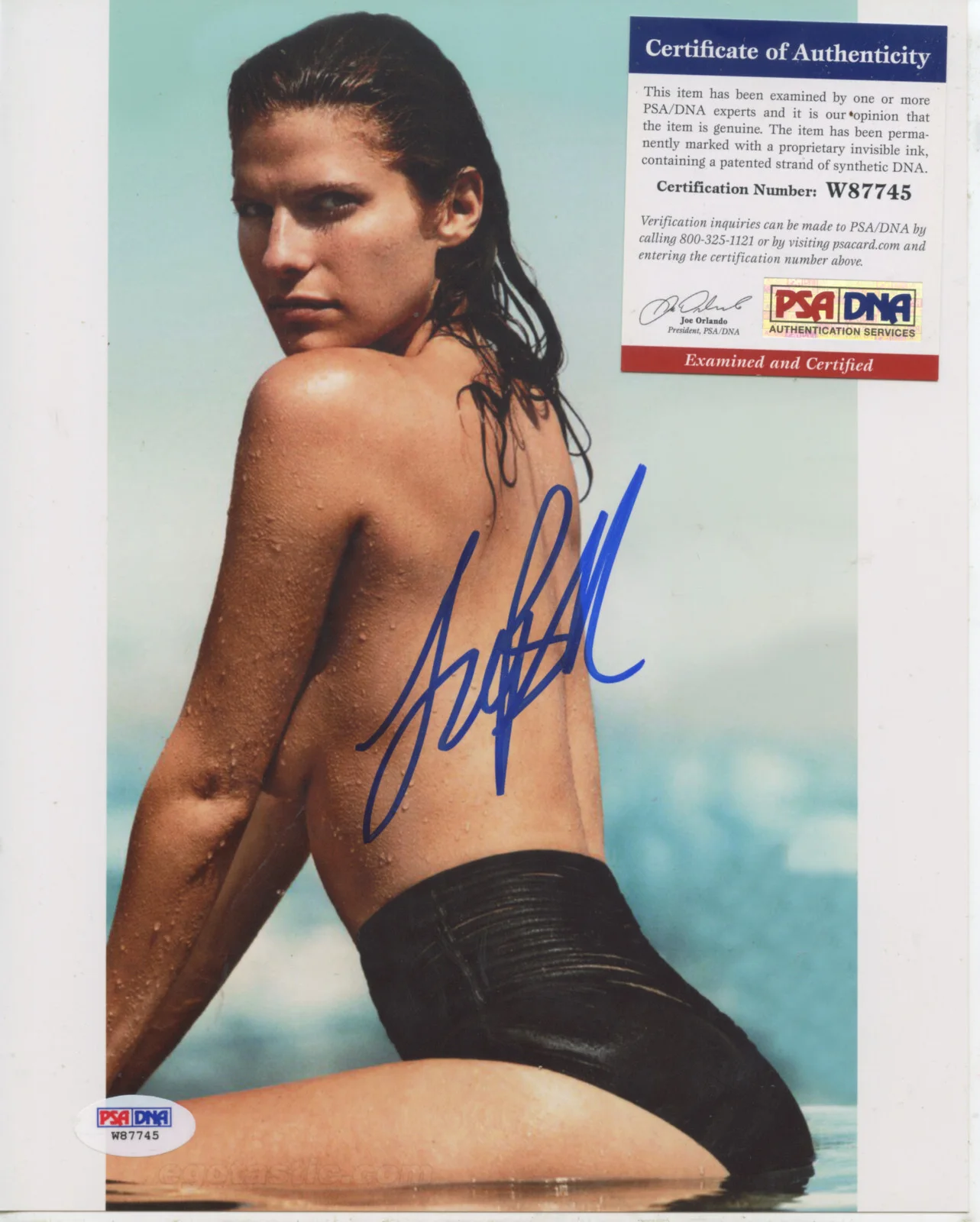 Lake Bell — LAKE BELL IN PERSON SIGNED 8X10 COLOR PHOTO "PSA/DNA COA"