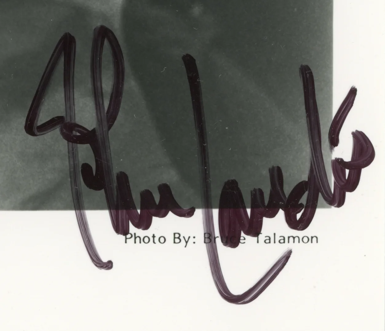 John Landis Director Autographed Signed 8x10 Photo AMCo COA 27141, image 2