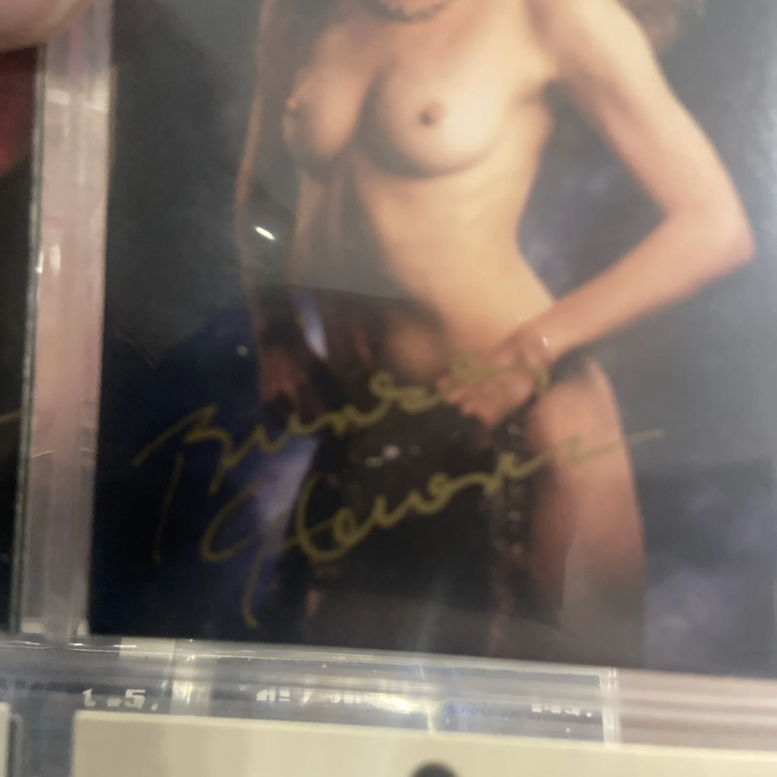 Jenna Jameson — Brinke Stevens Signed 1995 Scream Queens 5 Card #25 movie Star Picture Auto, изображение 2