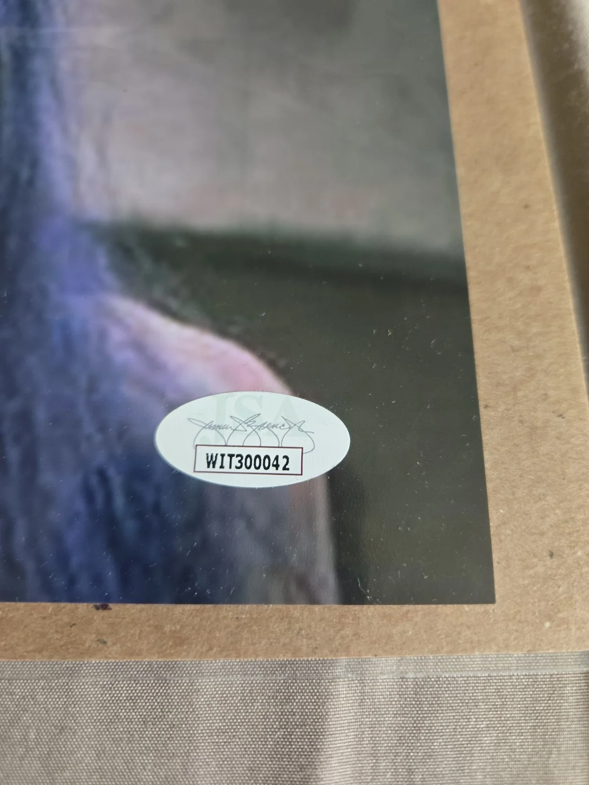 Patty Mullen — Frankenhooker Photo (HAND SIGNED By Patty Mullen) Autograph w/Quote + JSA PROOF!, изображение 3