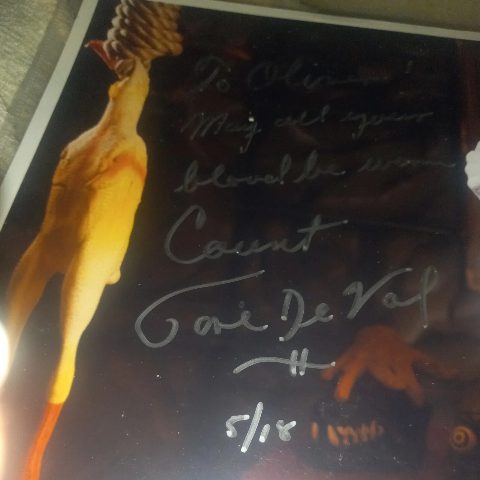 Count Gore De Vol Signed 8×10 Photo, image 4