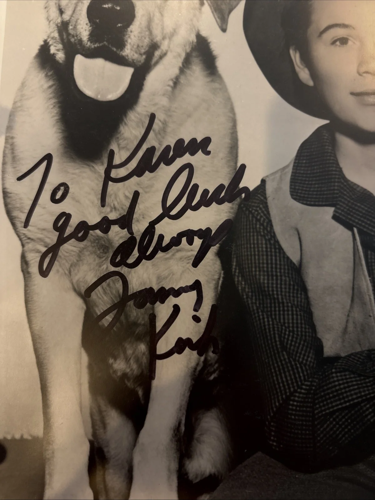 Tommy Kirk — Tommy Kirk Hand Signed. 8”x10” B/W Photo Old Yeller, Absent Minded Professor, изображение 2