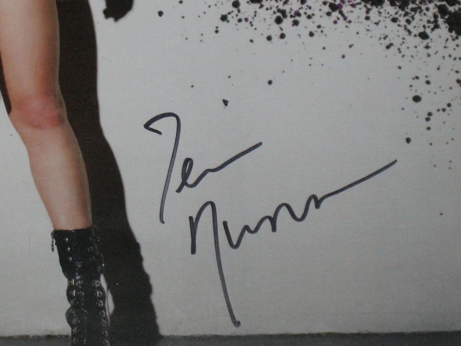 Terri Nunn Signed Autograph 13x17.5 Photo JSA Certified Berlin Auto Inscription, изображение 2